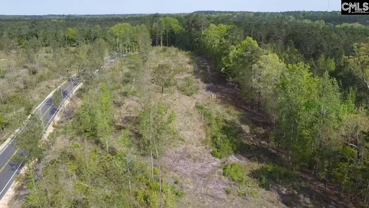 TBD Peake Road, Elgin, South Carolina image 18