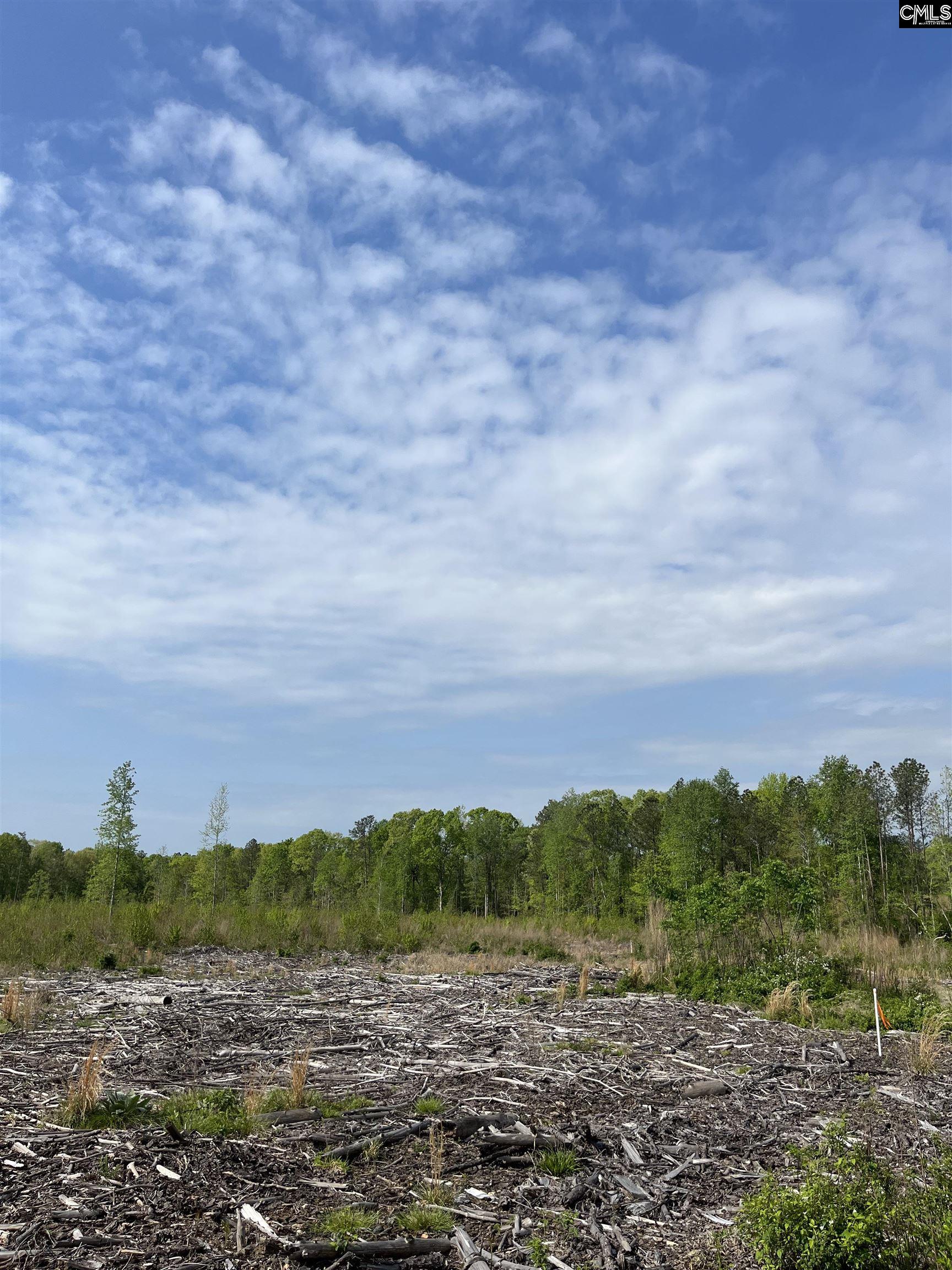 TBD Peake Road, Elgin, South Carolina image 19