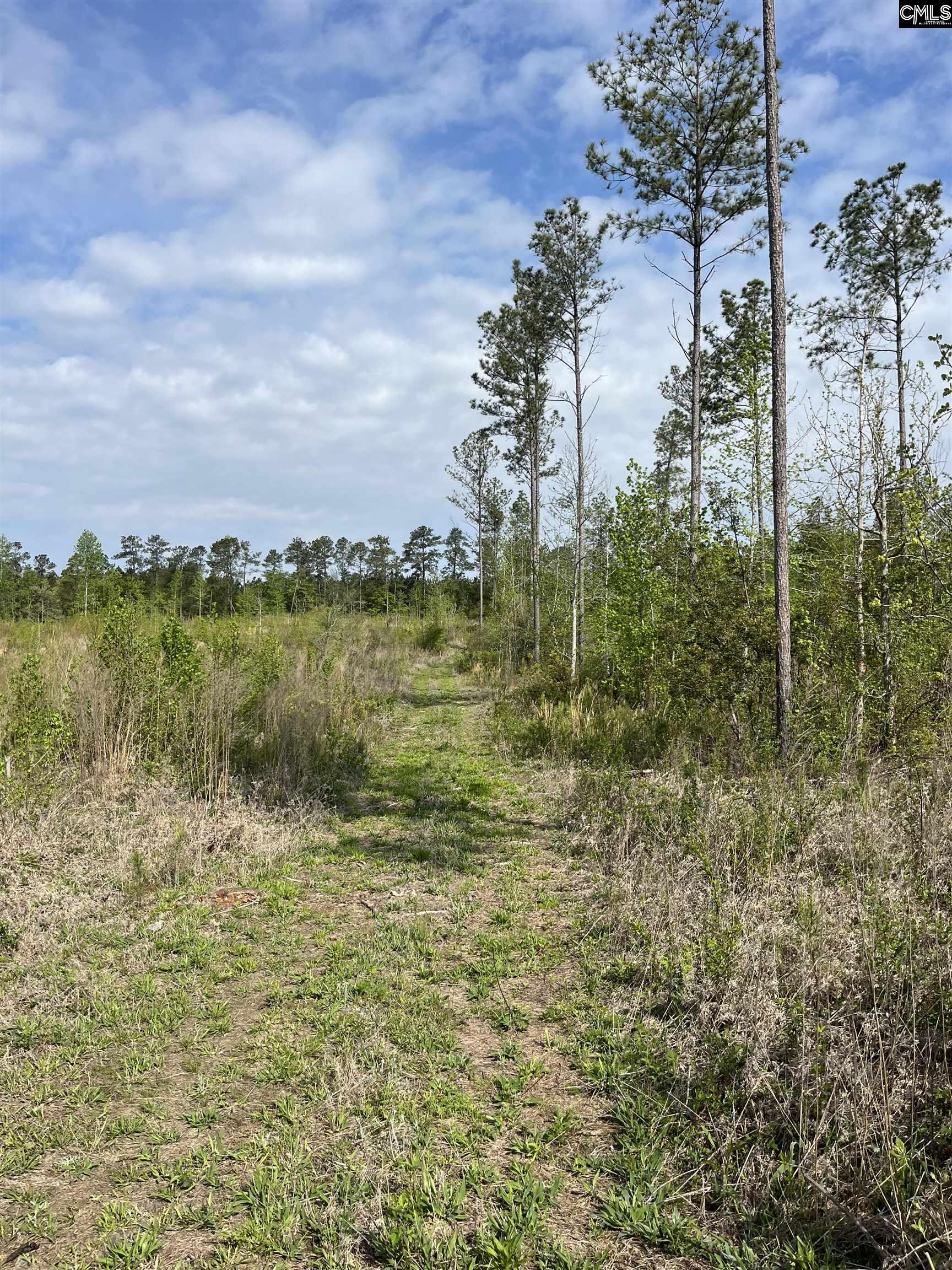 TBD Peake Road, Elgin, South Carolina image 21