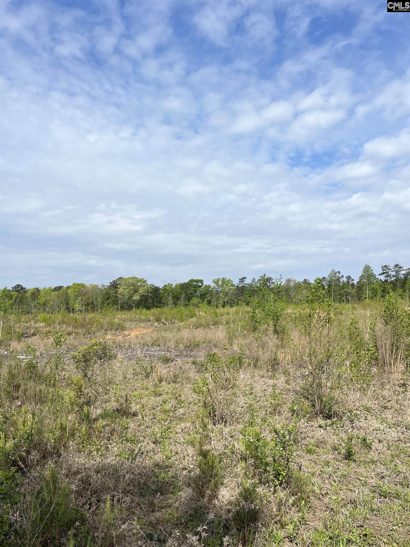 TBD Peake Road, Elgin, South Carolina image 22