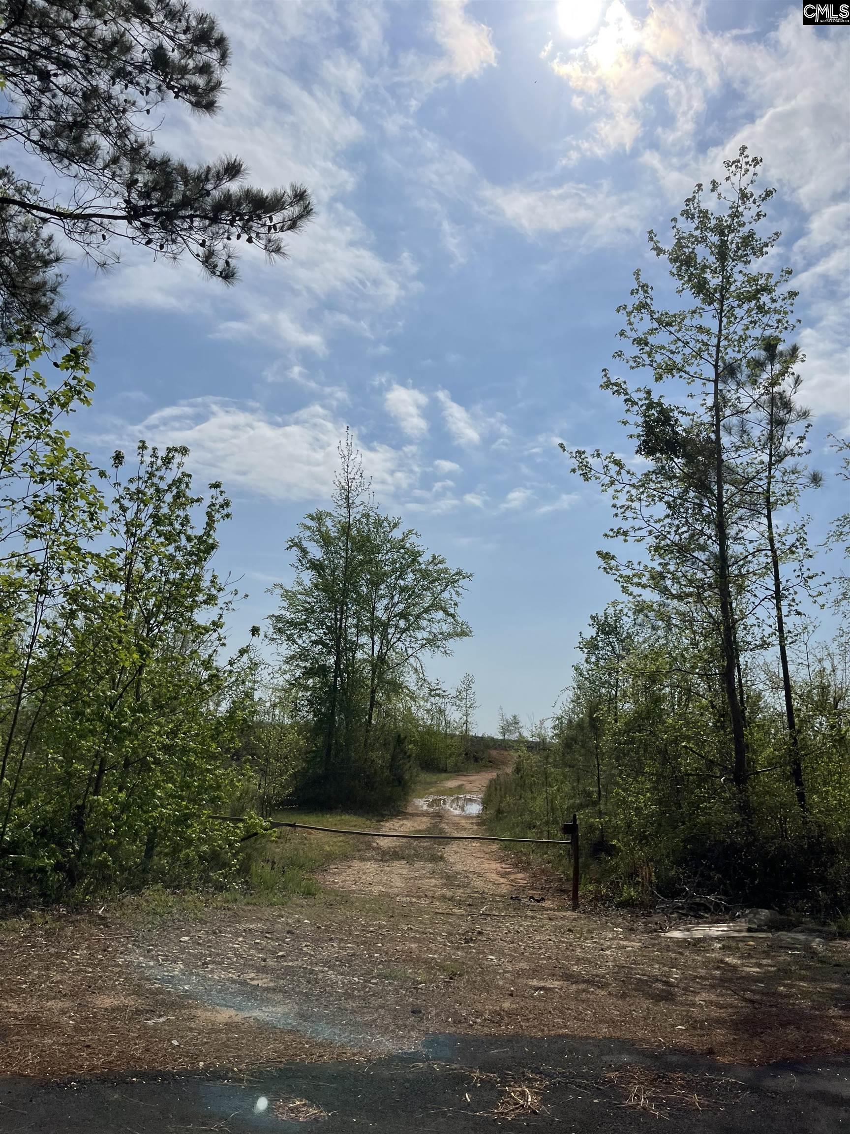 TBD Peake Road, Elgin, South Carolina image 23