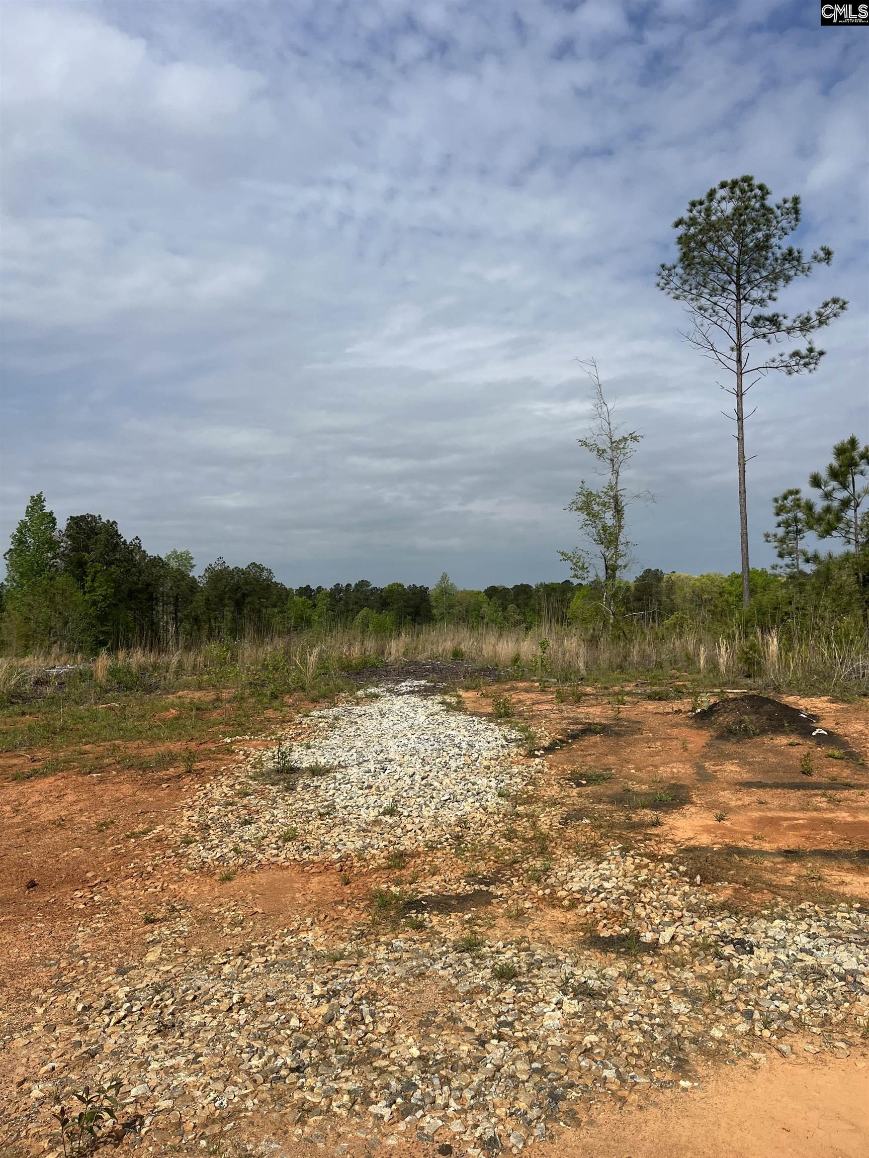TBD Peake Road, Elgin, South Carolina image 24