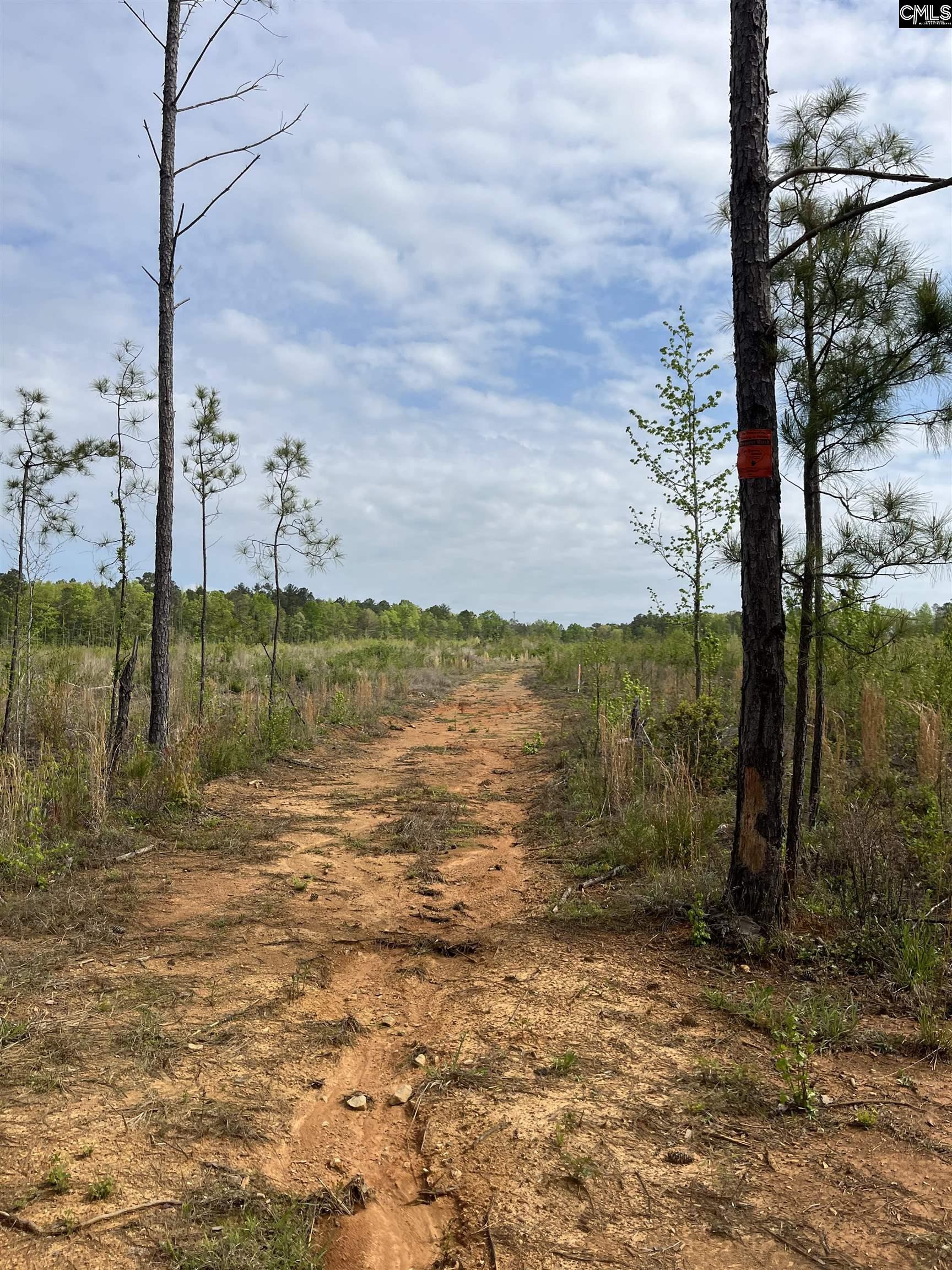 TBD Peake Road, Elgin, South Carolina image 25