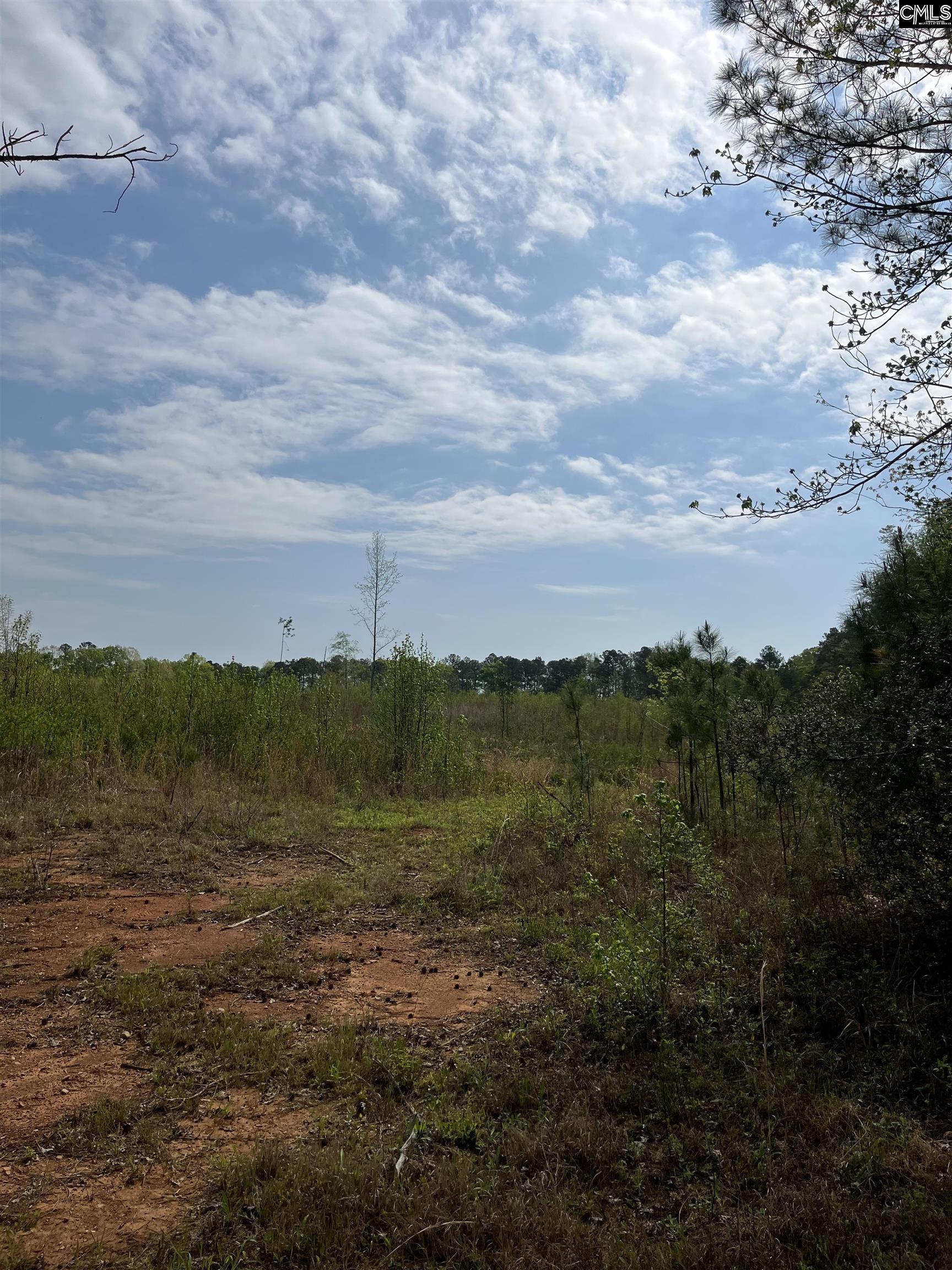 TBD Peake Road, Elgin, South Carolina image 26