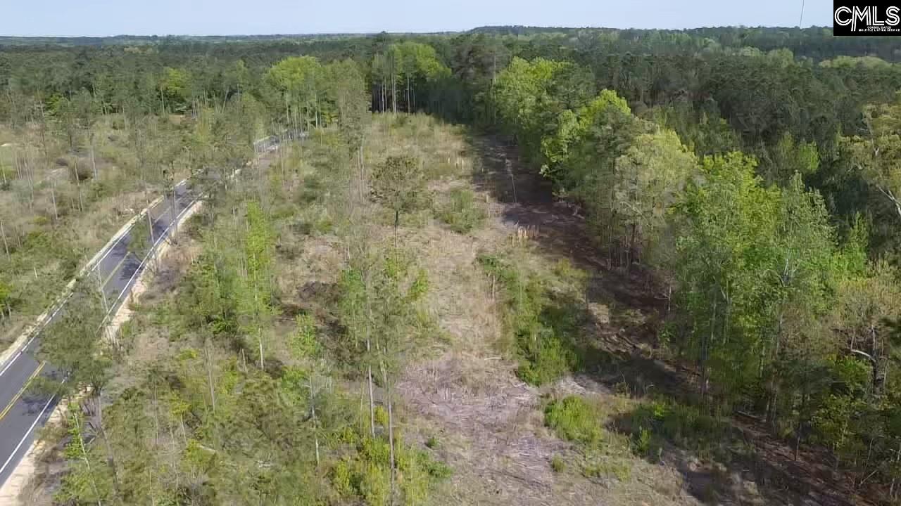 TBD Peake Road, Elgin, South Carolina image 4