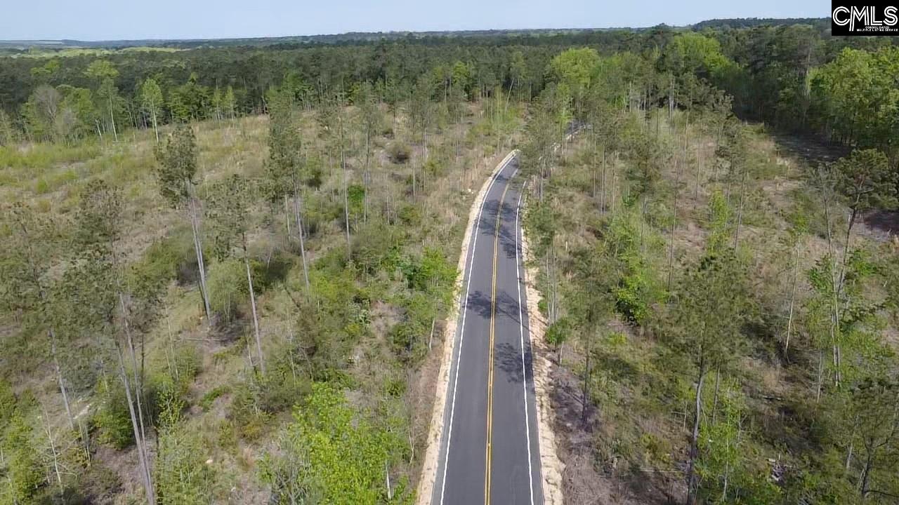 TBD Peake Road, Elgin, South Carolina image 5