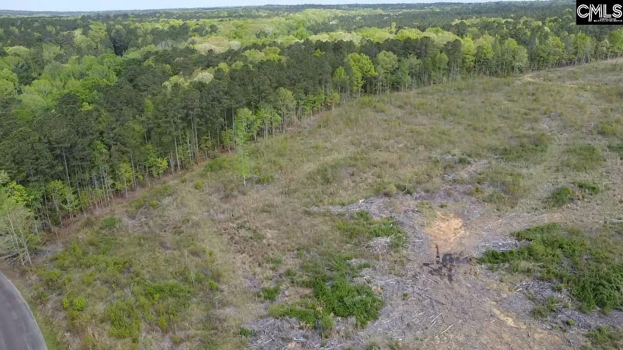 TBD Peake Road, Elgin, South Carolina image 9