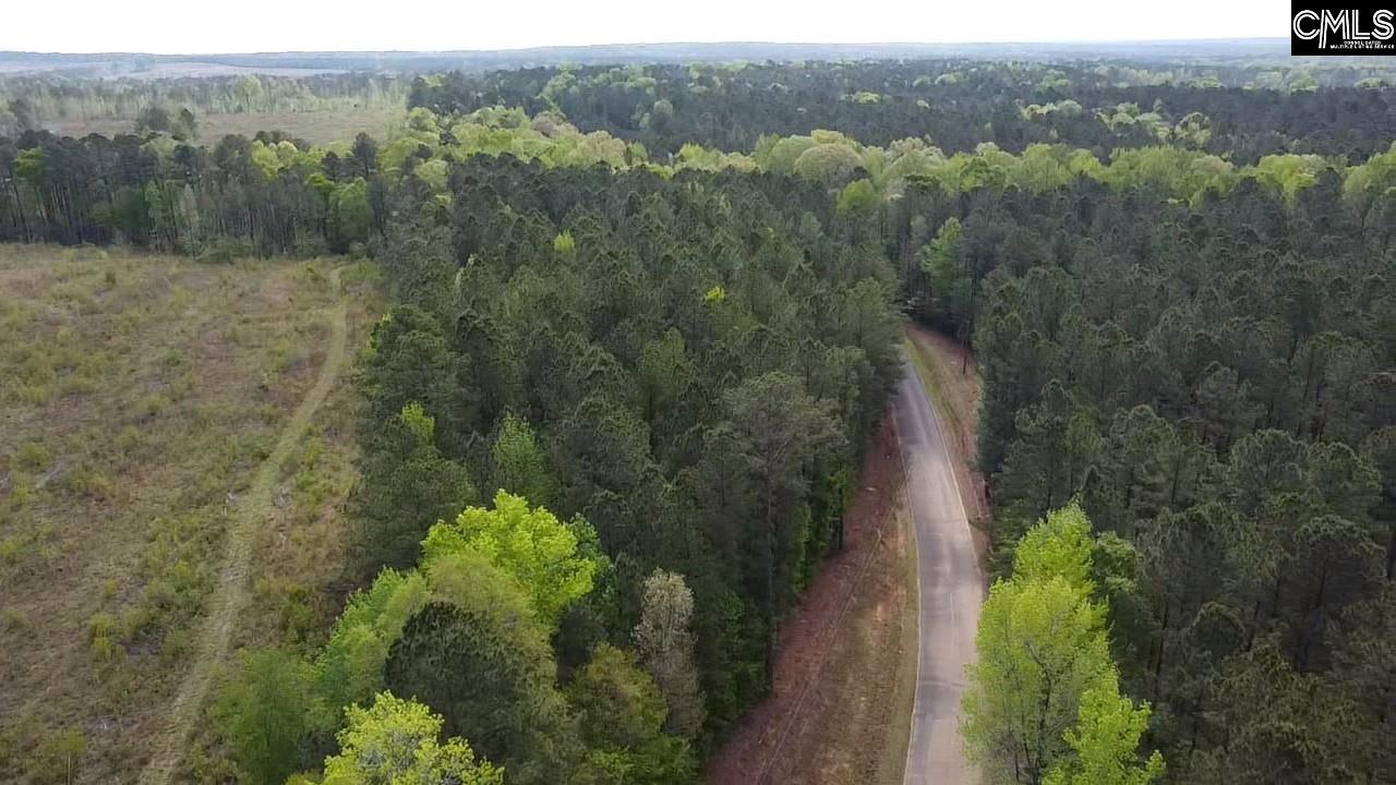 TBD Peake Road, Elgin, South Carolina image 10