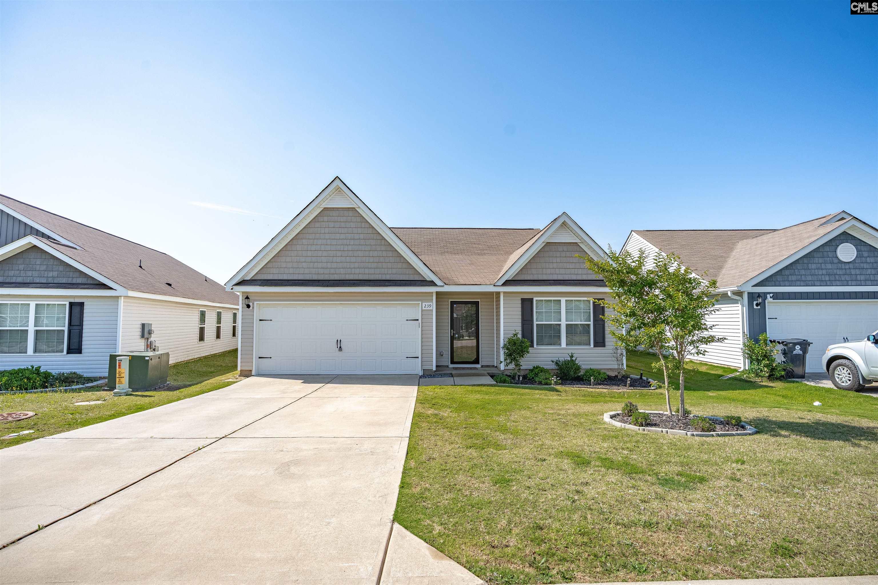 239 Common Reed Drive, Gilbert, South Carolina image 1