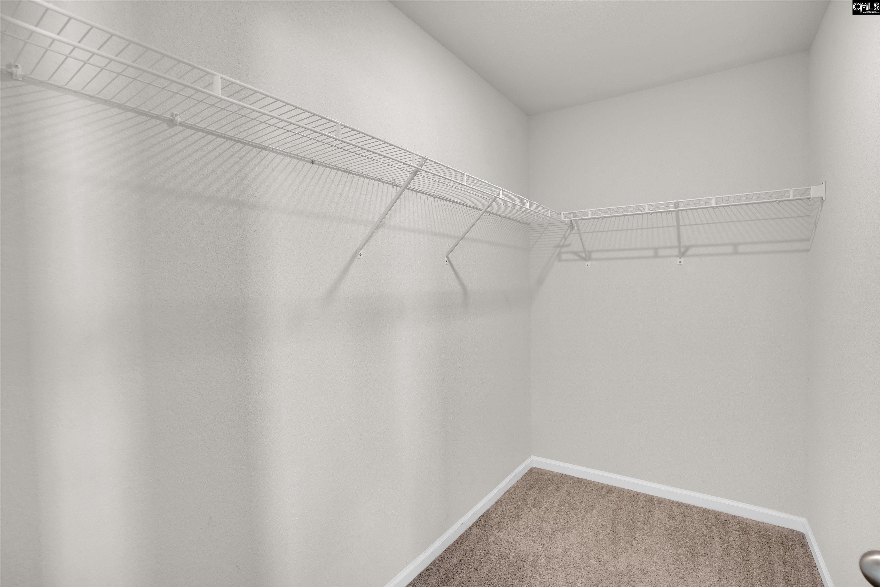 239 Common Reed Drive, Gilbert, South Carolina image 21