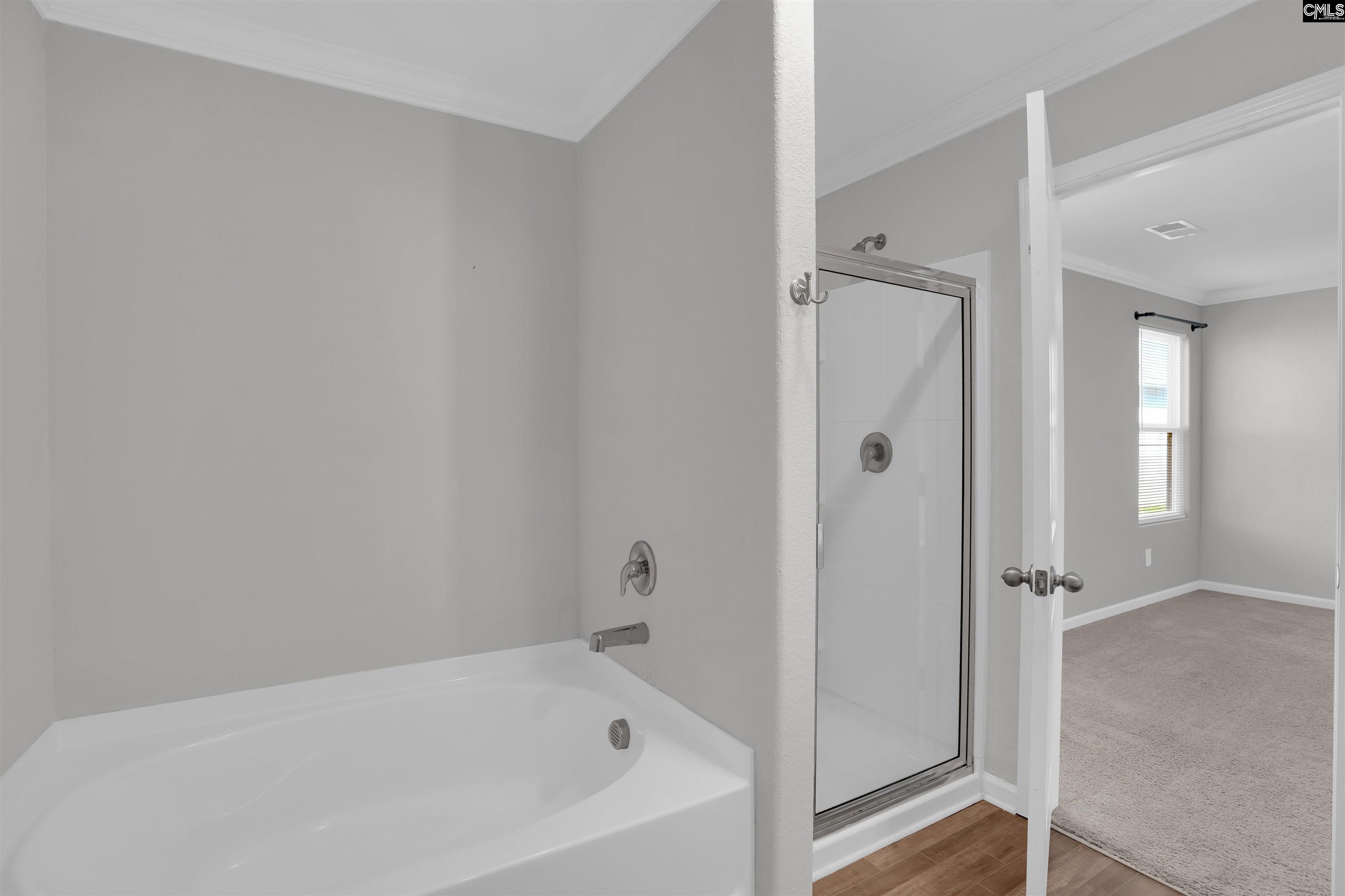239 Common Reed Drive, Gilbert, South Carolina image 23