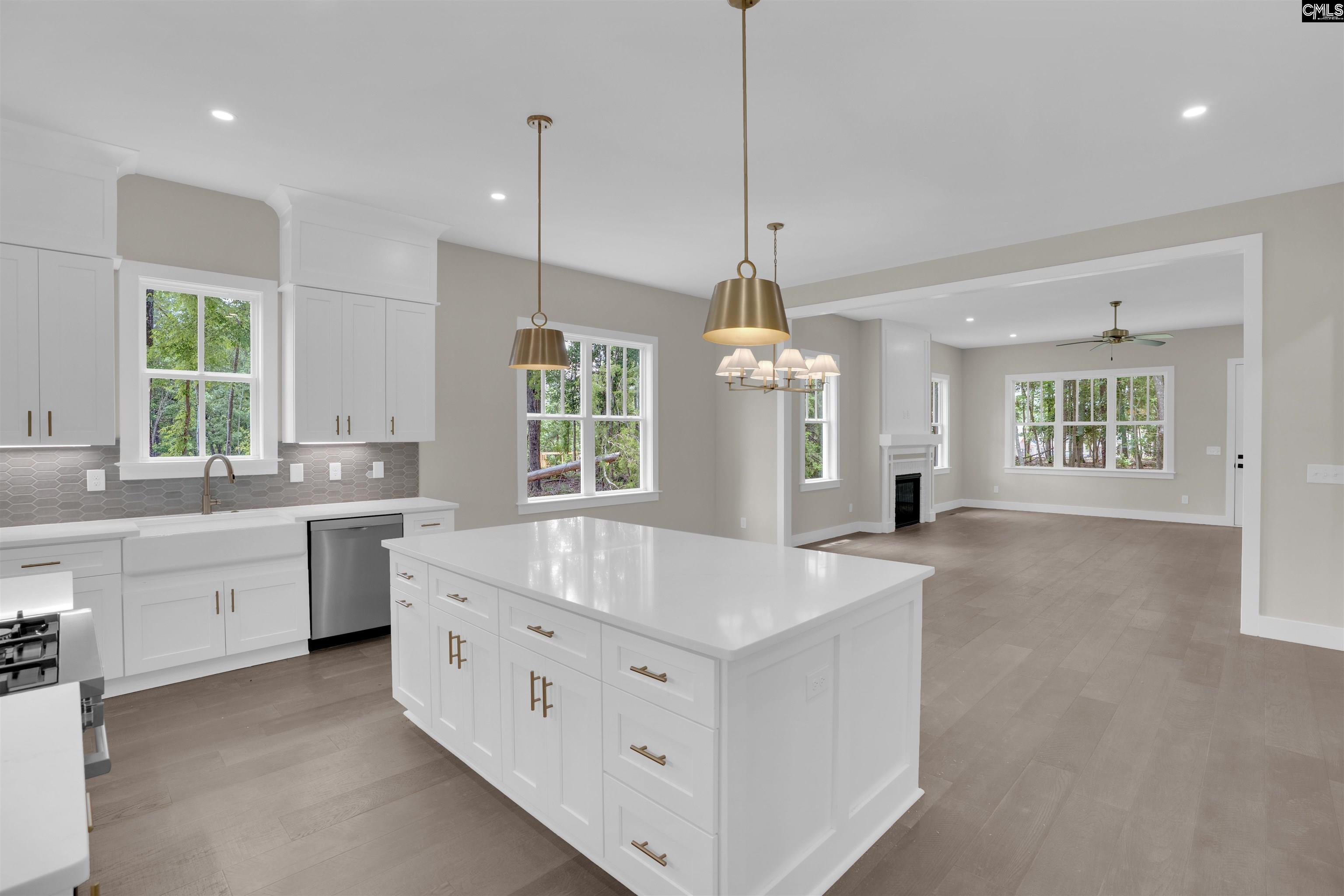 1040 Refuge Place Chapin, SC 29036