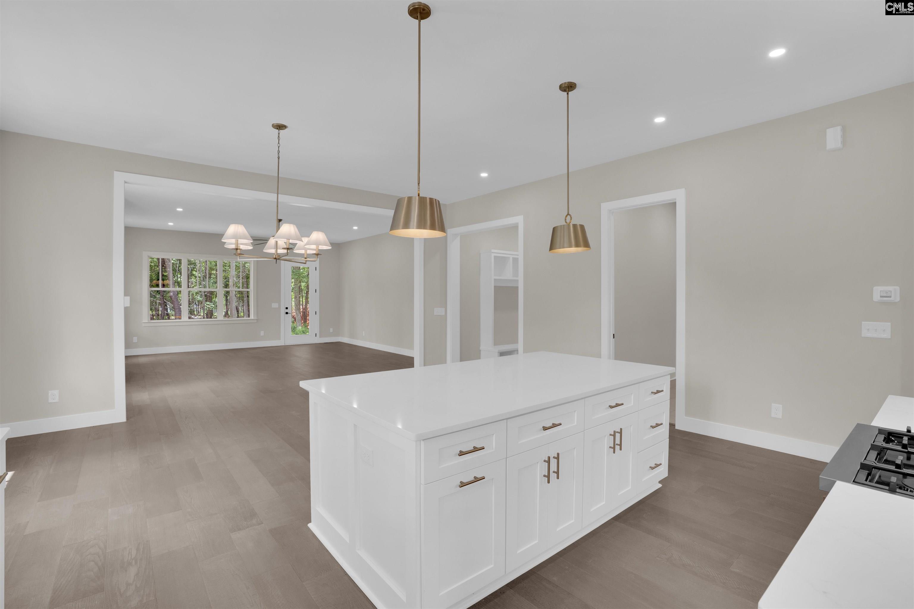 1040 Refuge Place Chapin, SC 29036