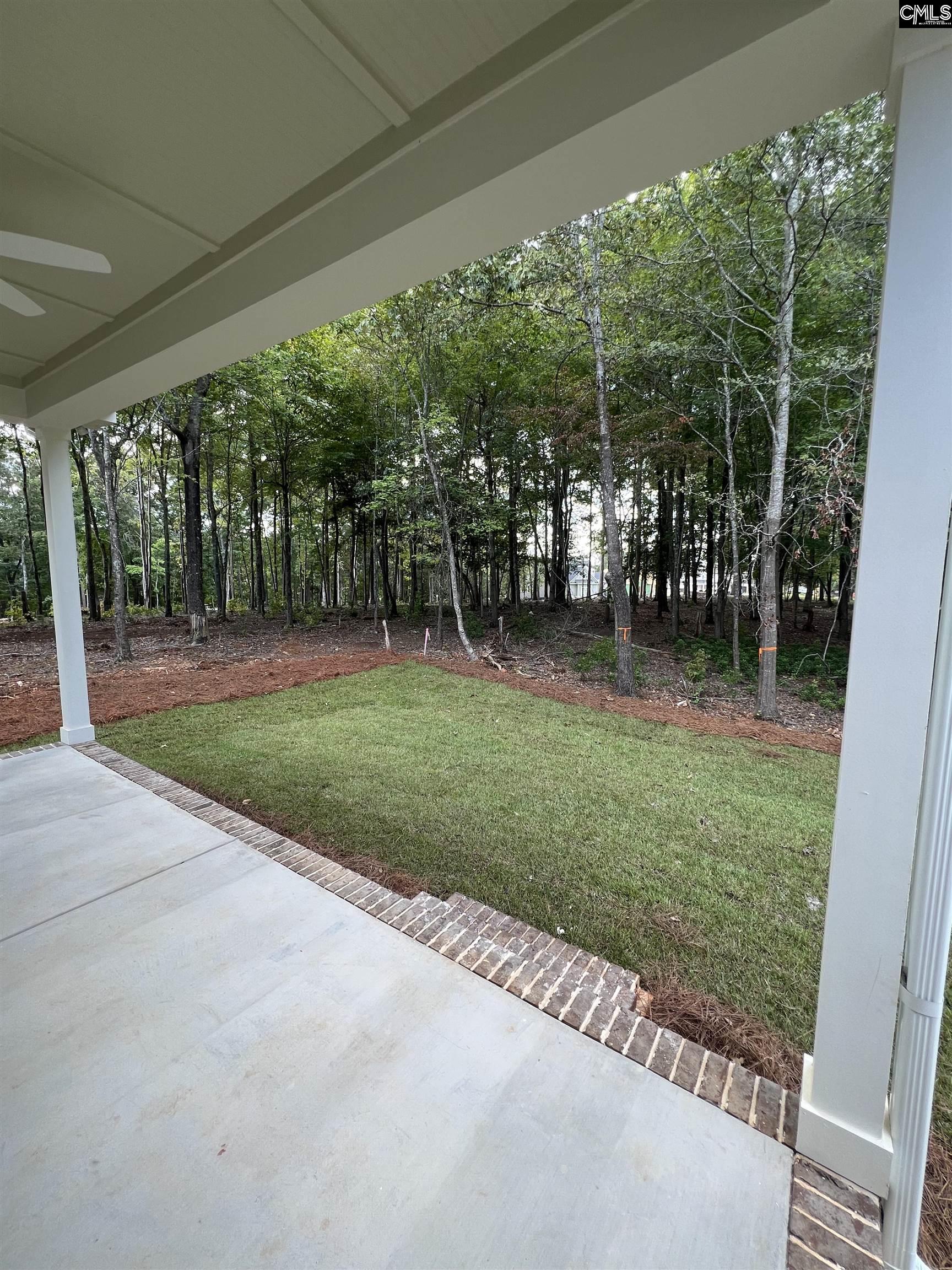 1040 Refuge Place, Chapin, South Carolina image 20