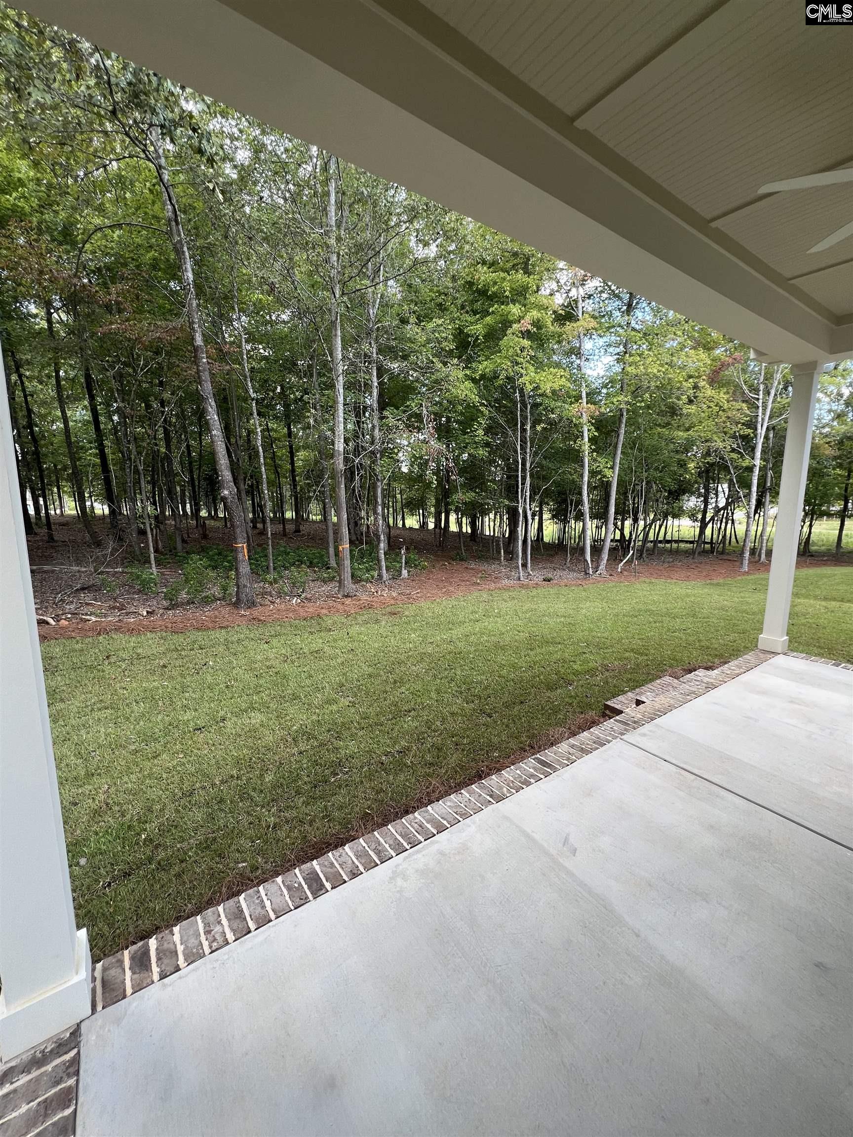1040 Refuge Place, Chapin, South Carolina image 21