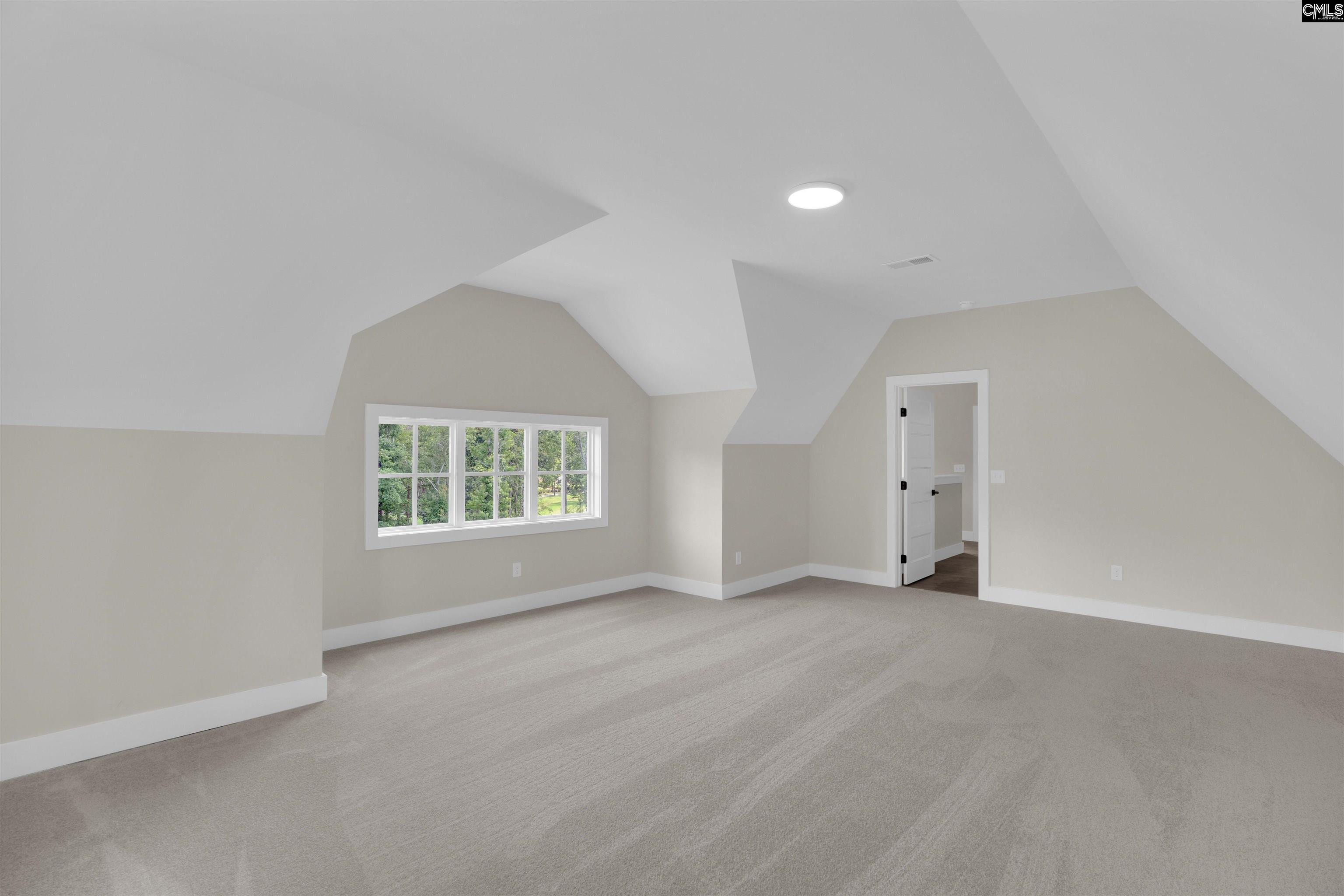 1040 Refuge Place Chapin, SC 29036