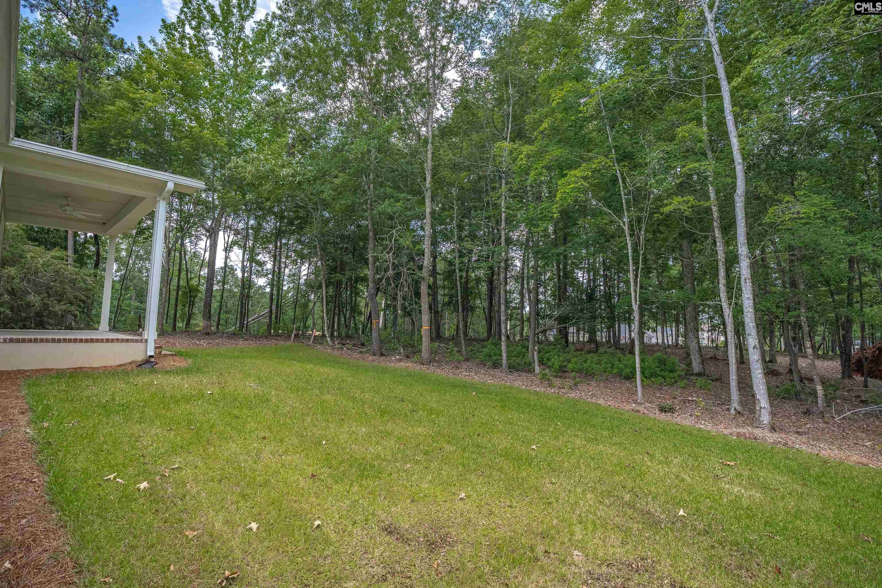 1040 Refuge Place Chapin, SC 29036