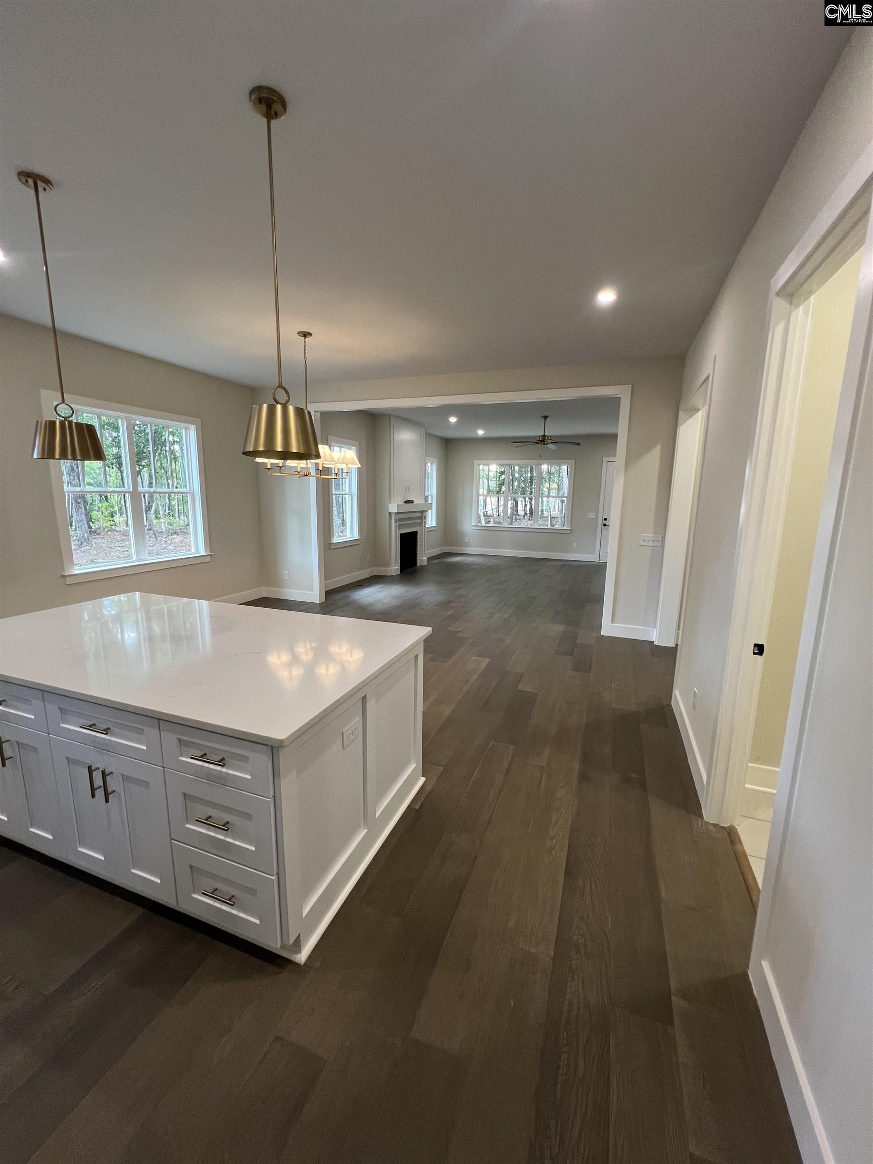 1040 Refuge Place, Chapin, South Carolina image 6