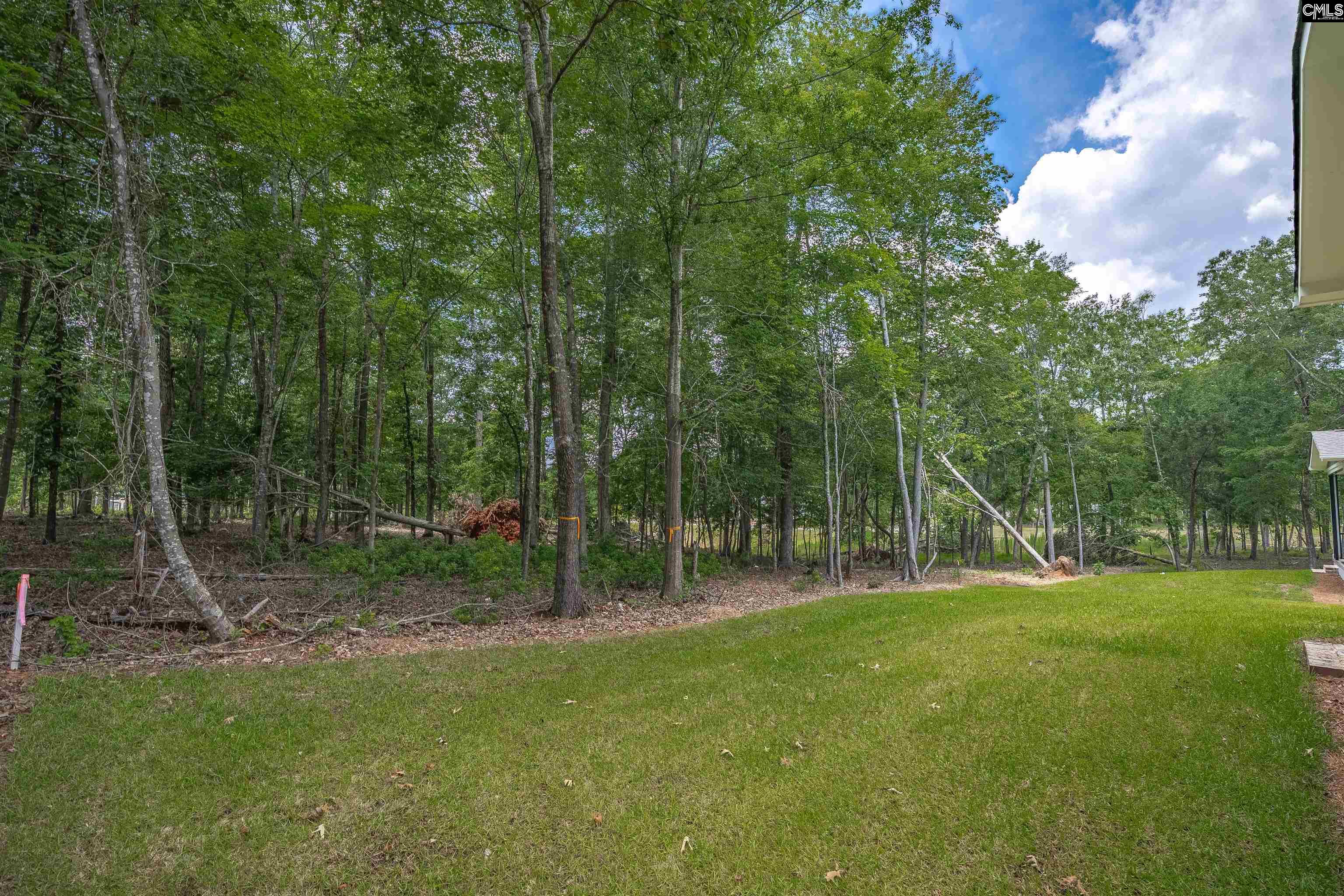 1040 Refuge Place Chapin, SC 29036