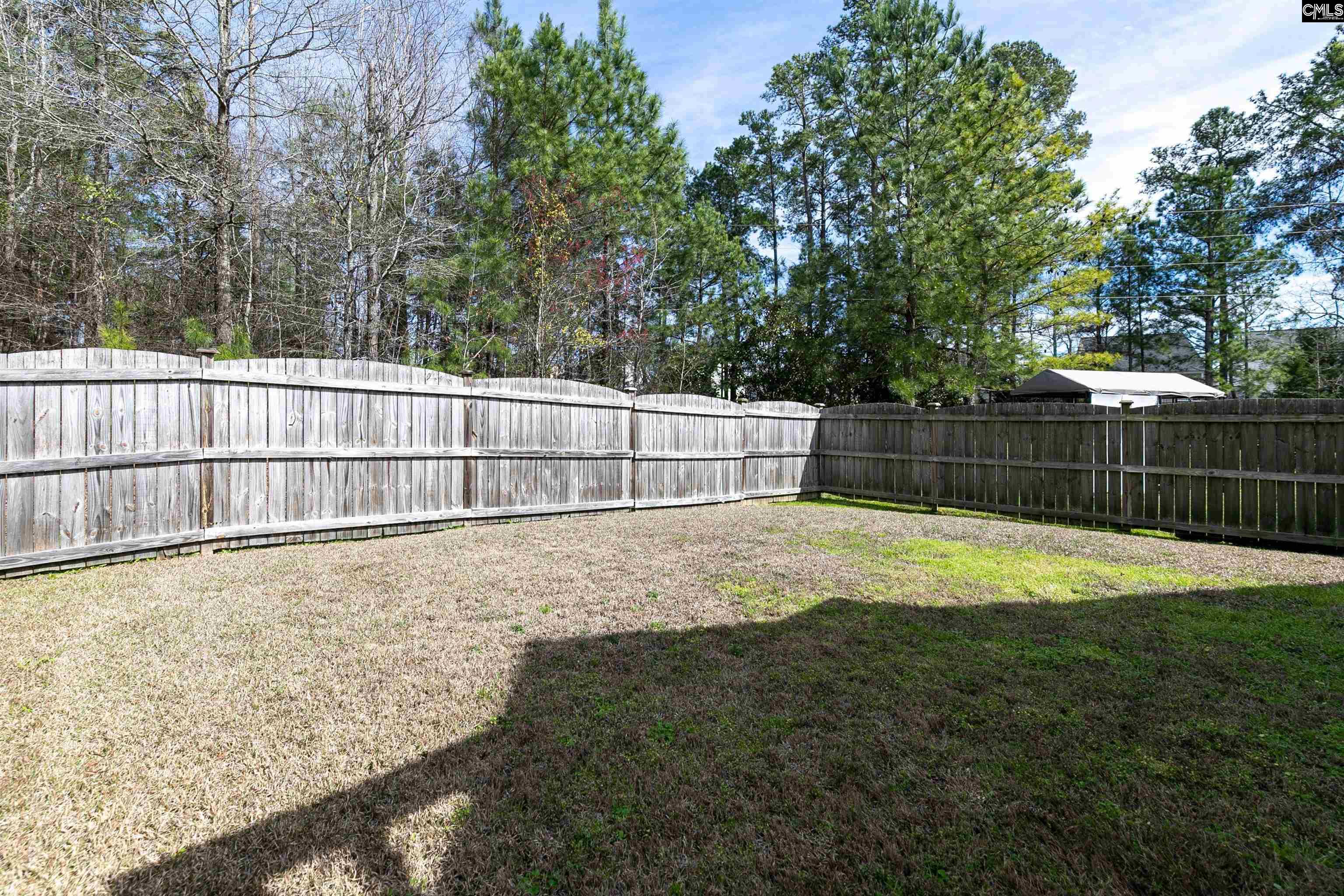 831 Bob Stay Way, Chapin, South Carolina image 28