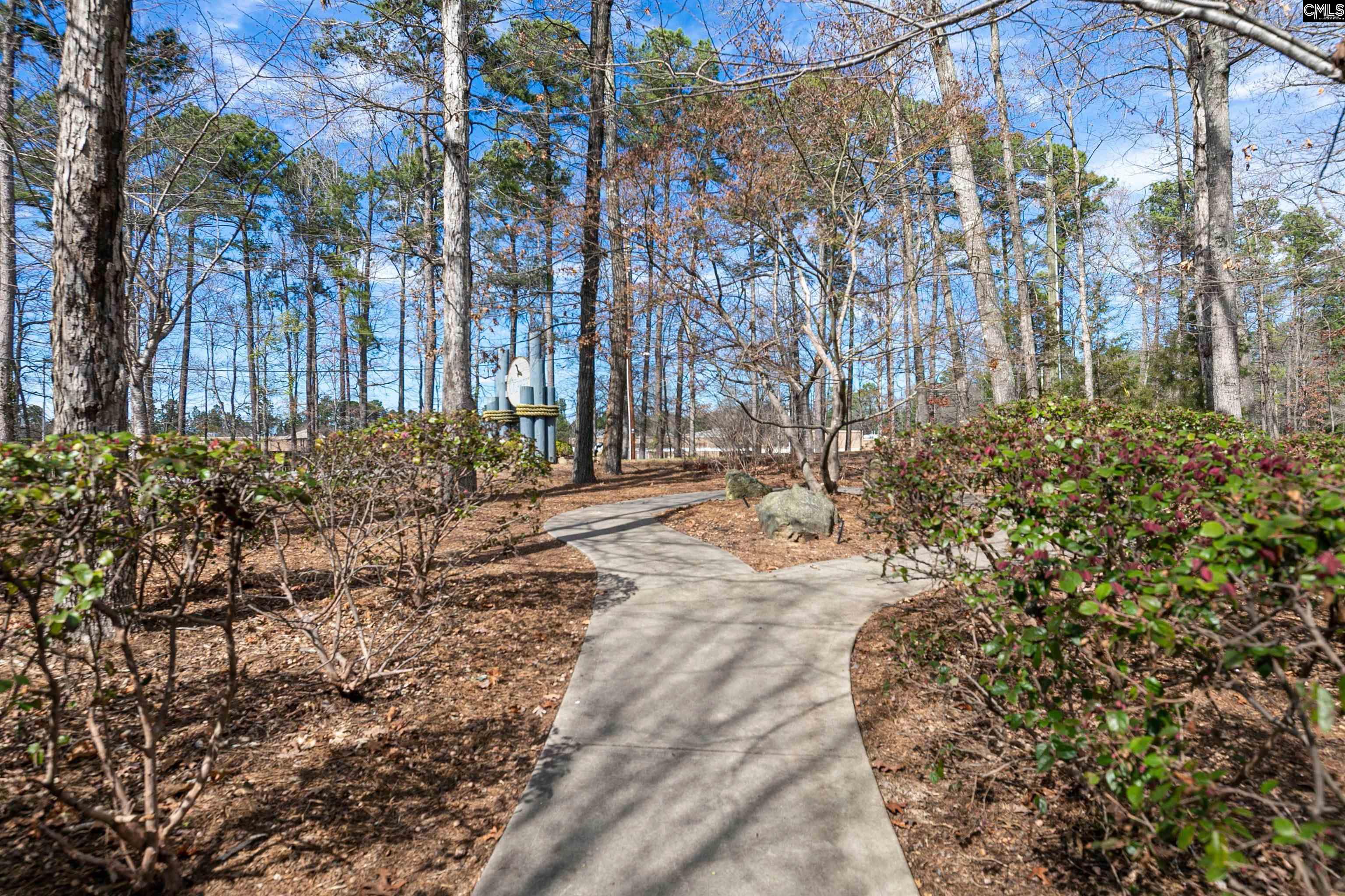 831 Bob Stay Way, Chapin, South Carolina image 31