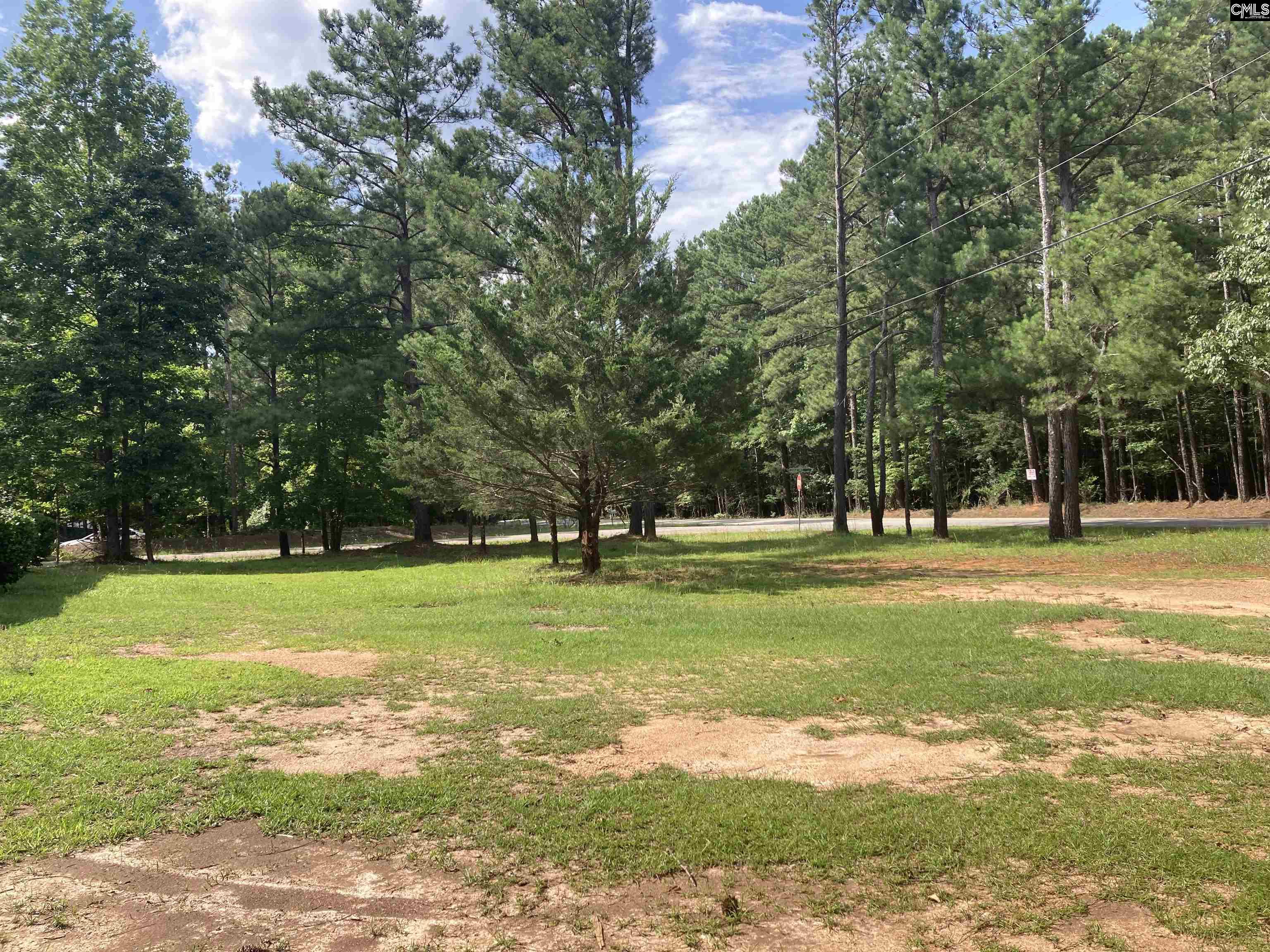 204 Little Boney Road, Blythewood, South Carolina image 21