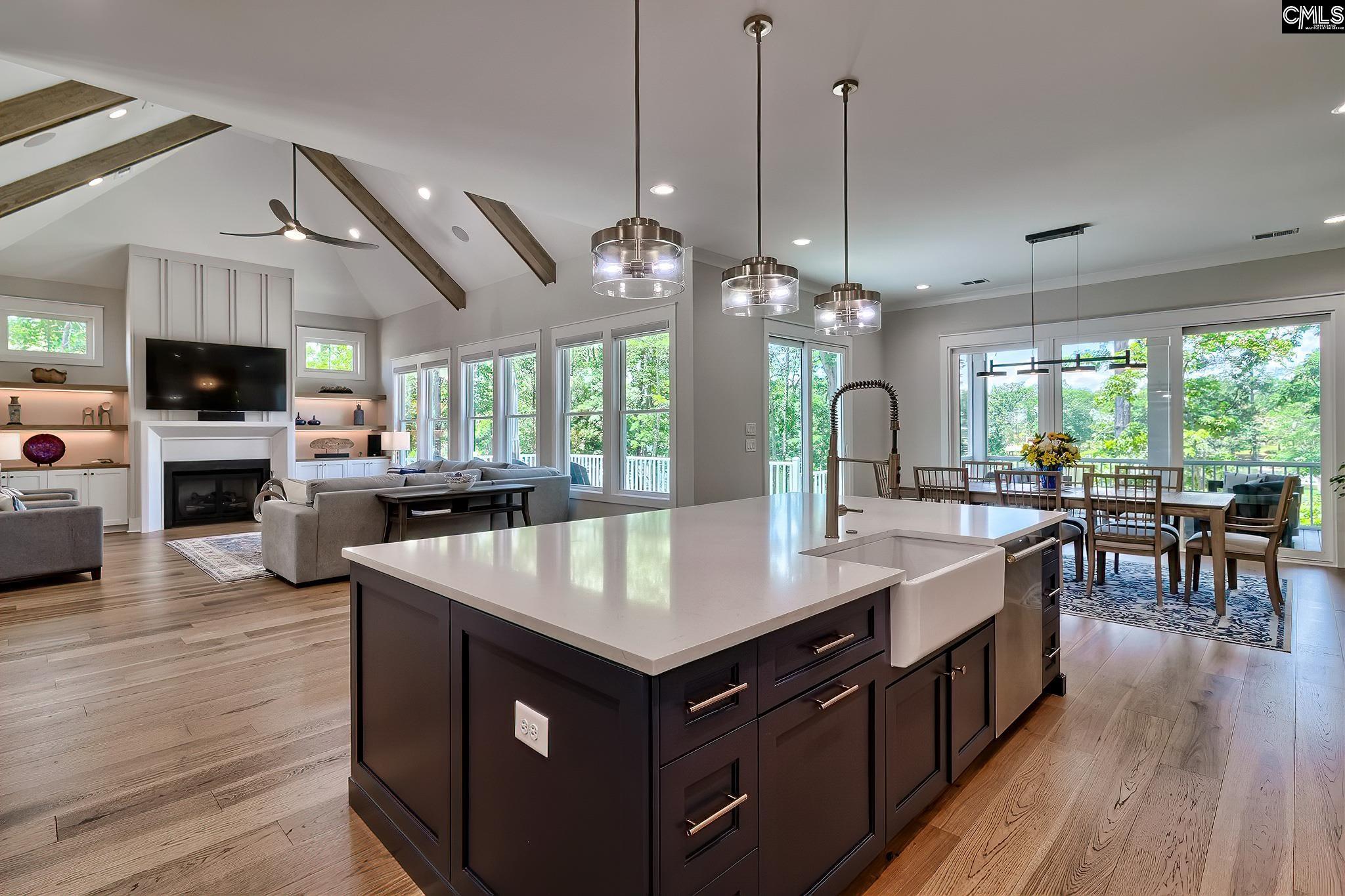 1092 Refuge Place, Chapin, South Carolina image 15