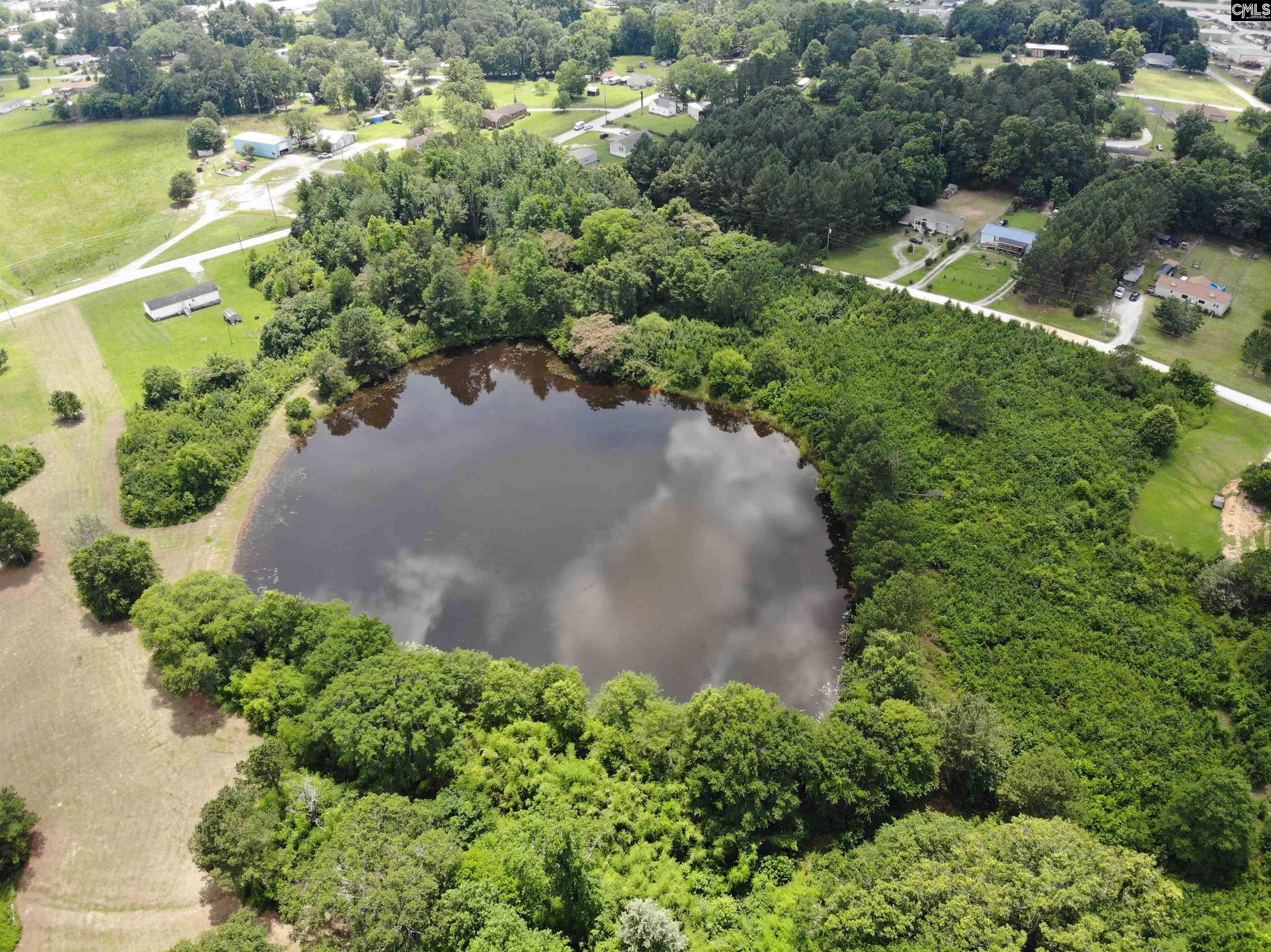 Whitener Road, Newberry, South Carolina image 1