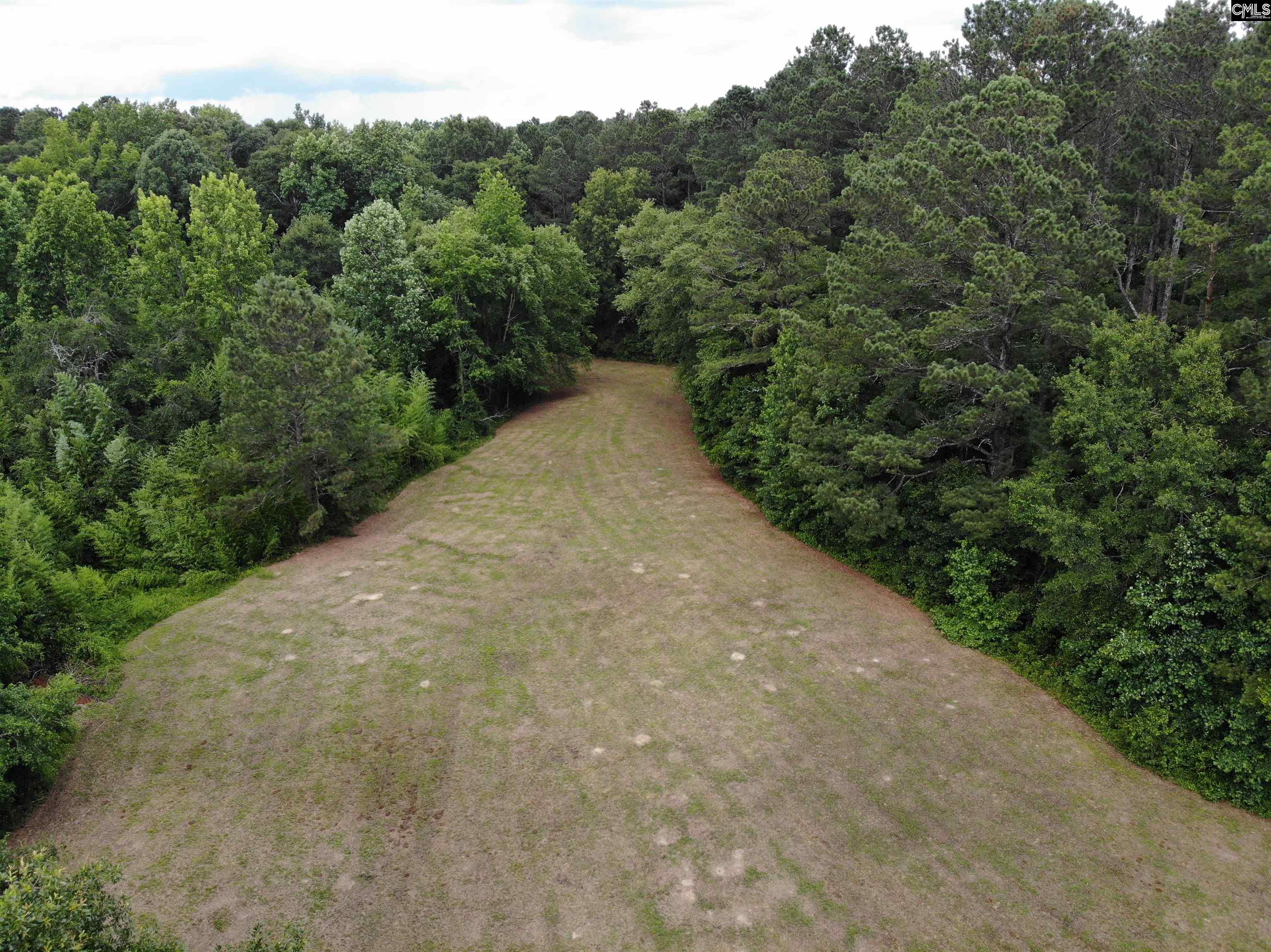 Whitener Road, Newberry, South Carolina image 6