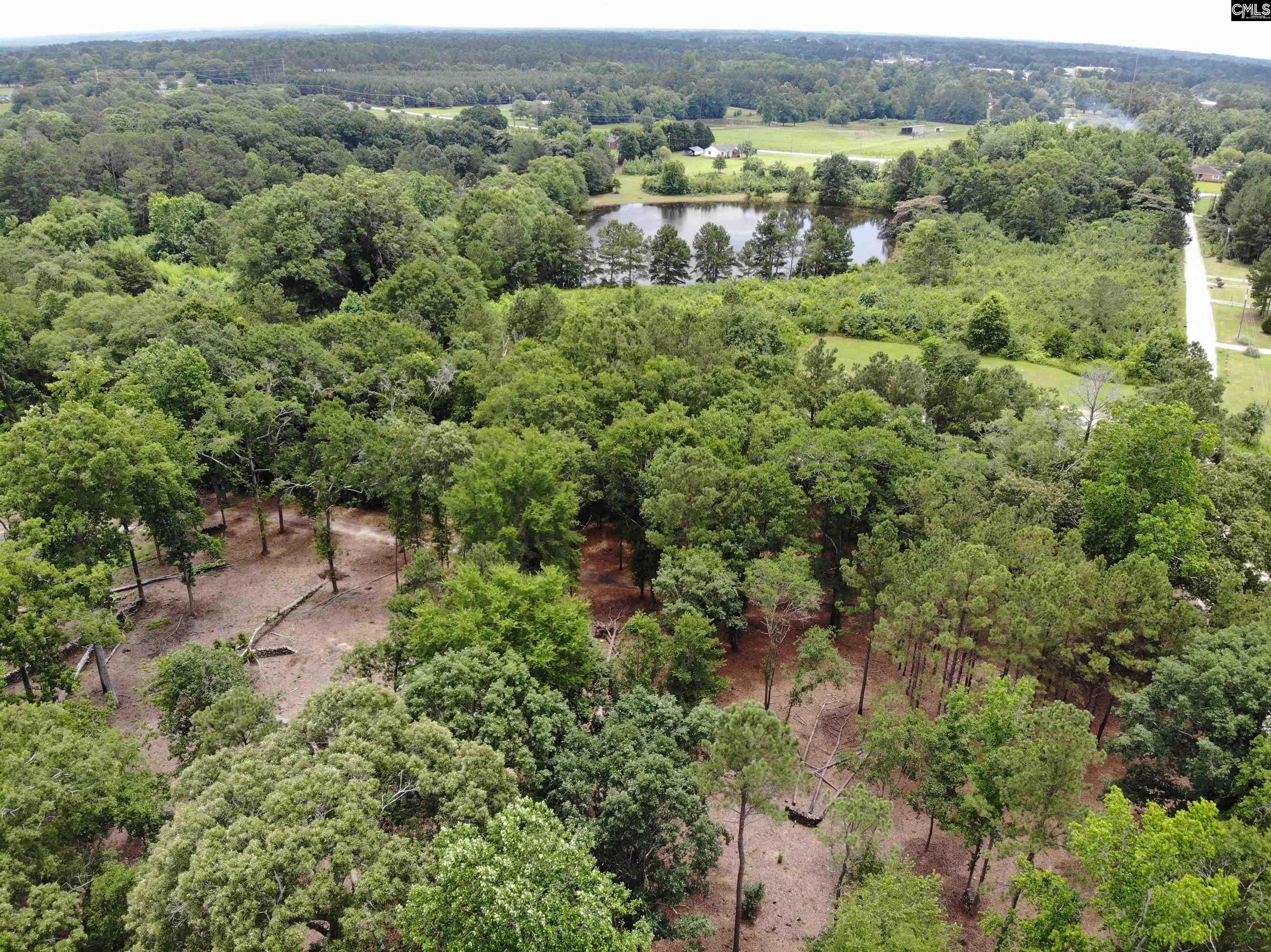 Whitener Road, Newberry, South Carolina image 9