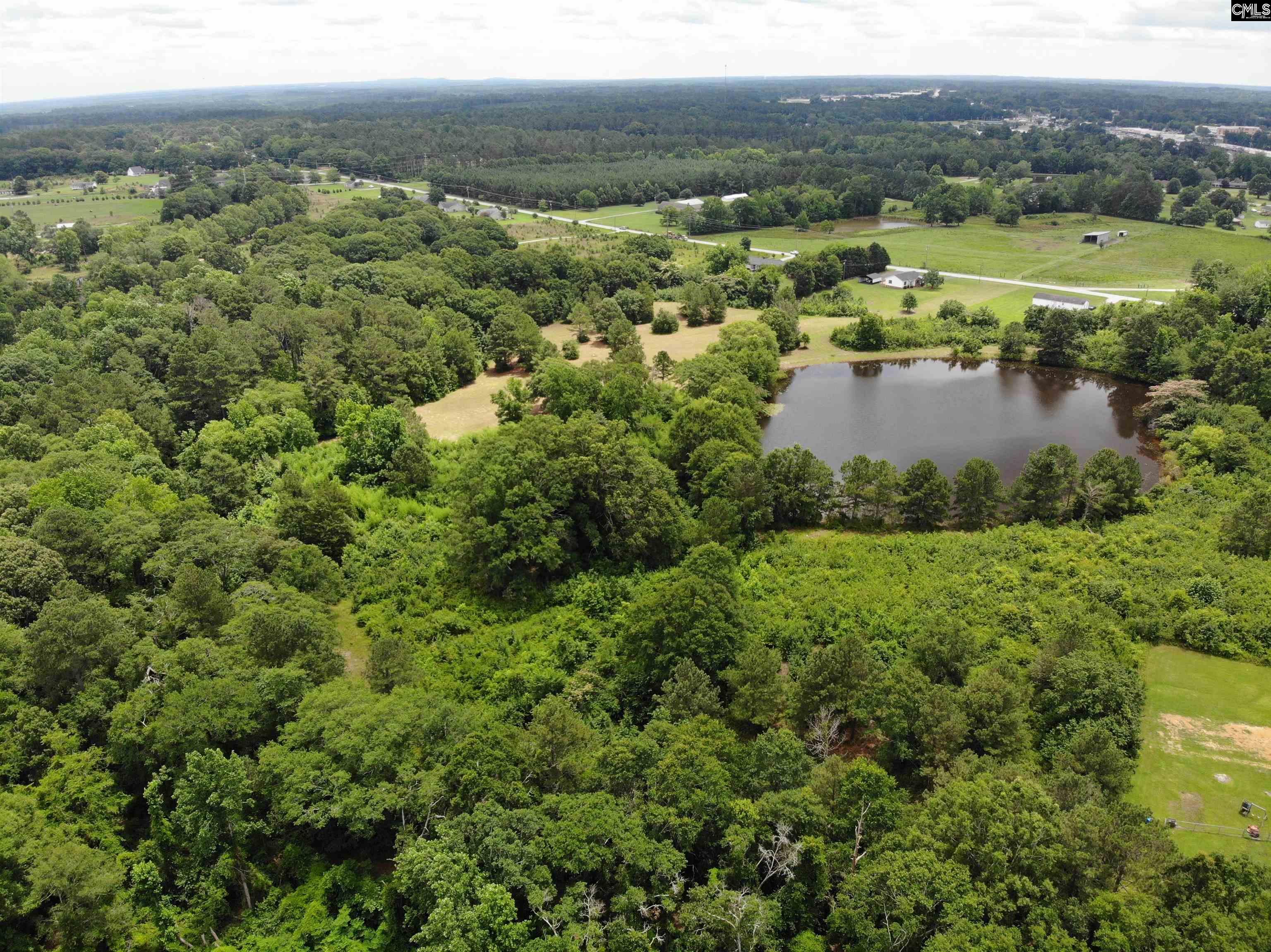 Whitener Road, Newberry, South Carolina image 10