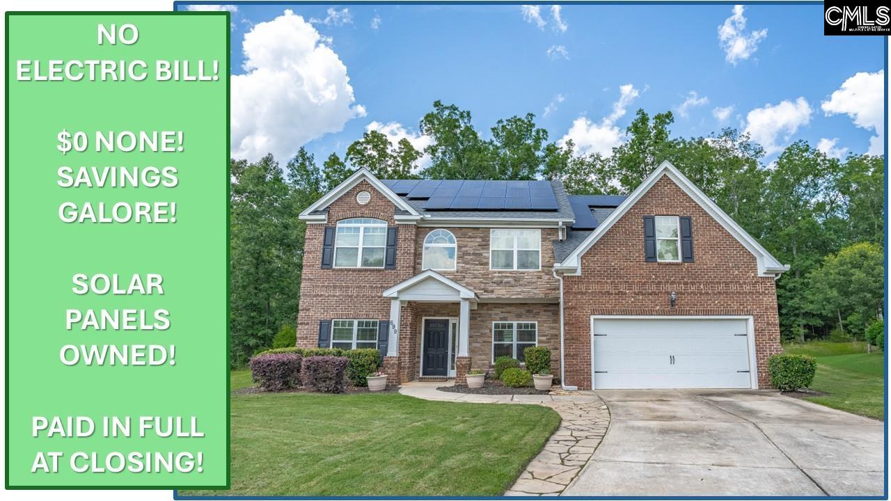 699 Village Market Drive, Chapin, South Carolina image 1