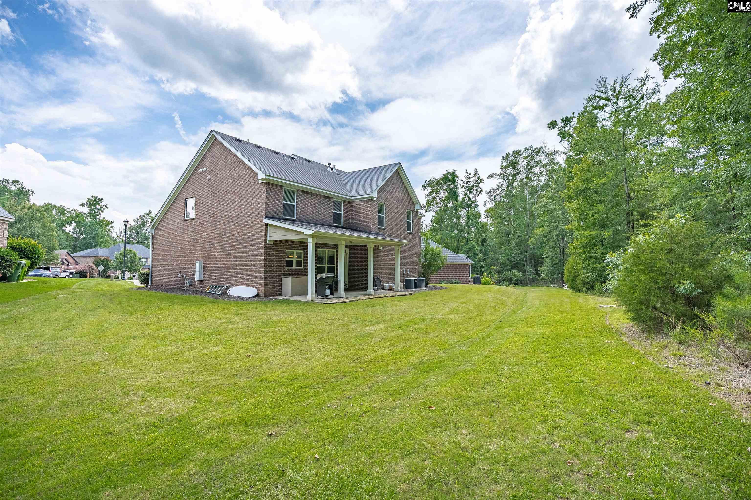 699 Village Market Drive, Chapin, South Carolina image 11