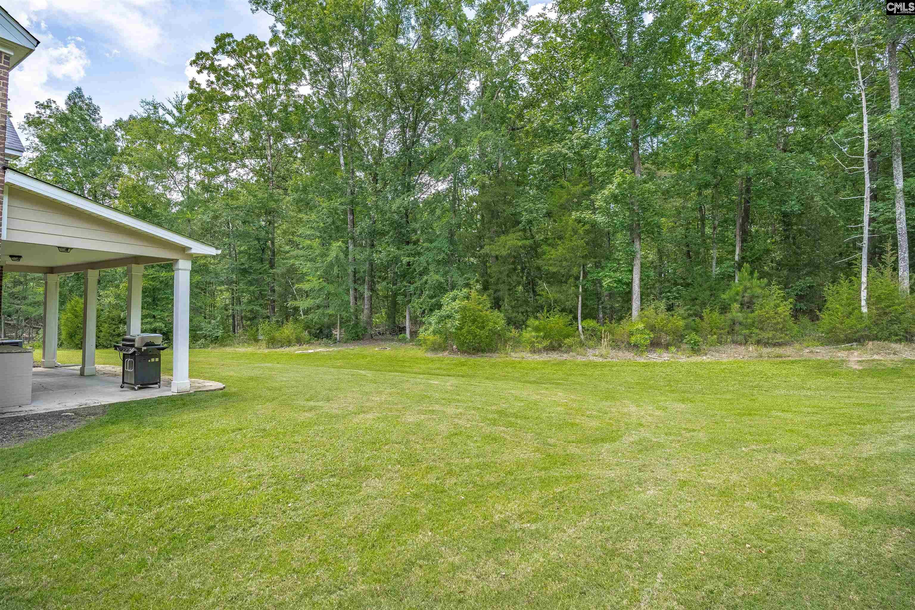 699 Village Market Drive, Chapin, South Carolina image 13