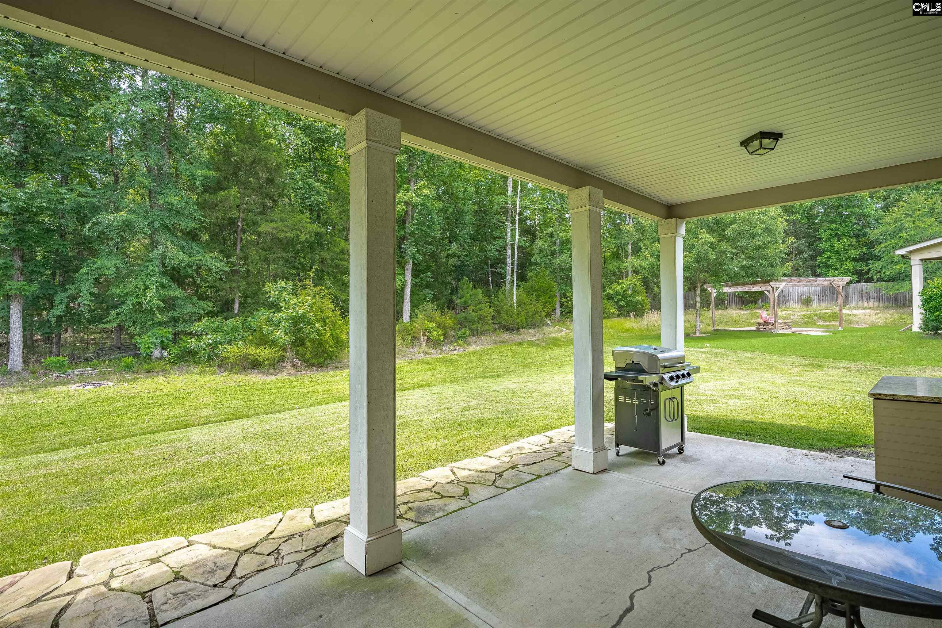 699 Village Market Drive, Chapin, South Carolina image 15
