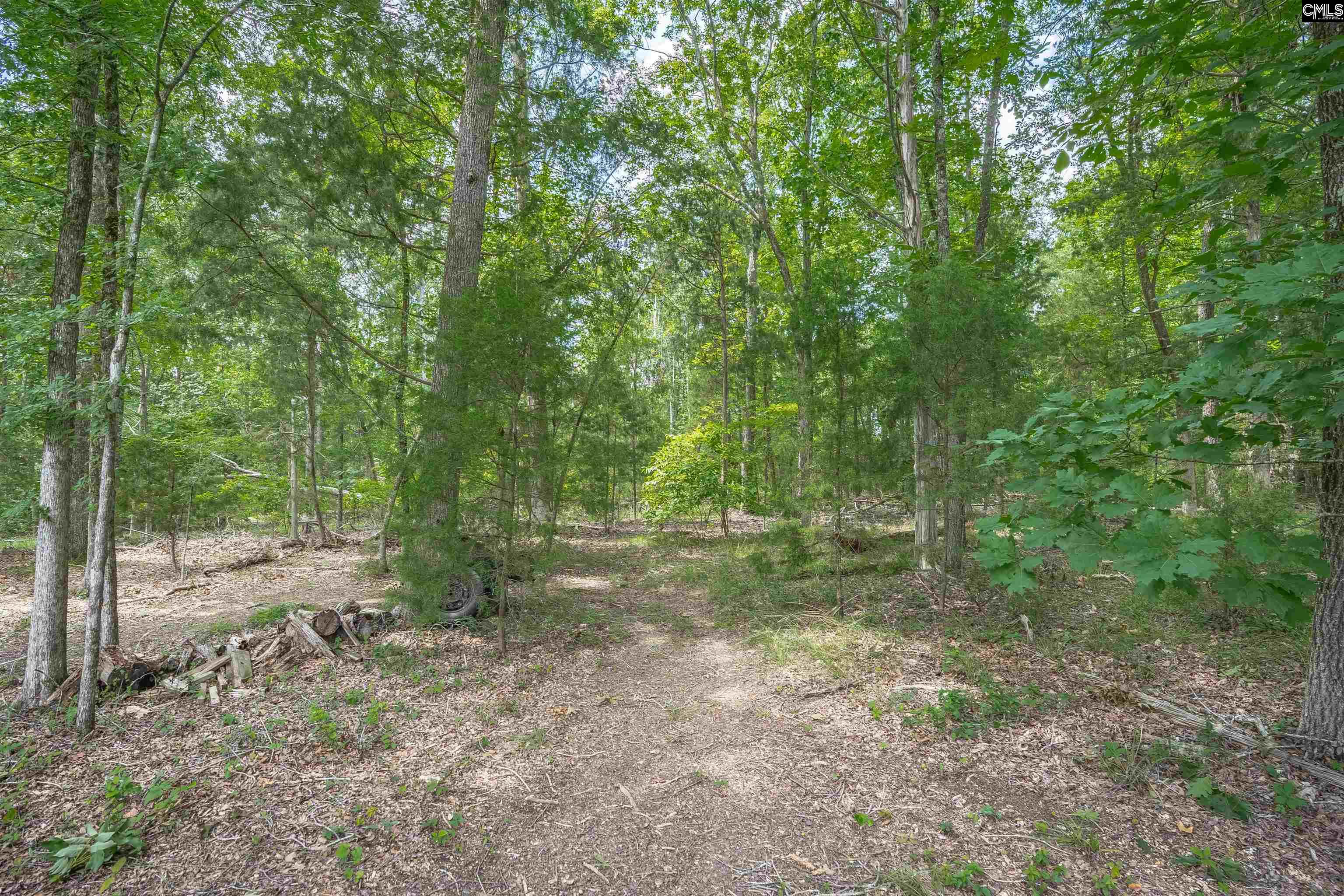 699 Village Market Drive, Chapin, South Carolina image 16