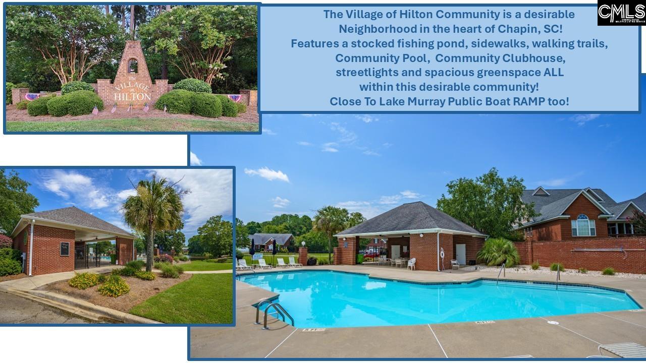 699 Village Market Drive, Chapin, South Carolina image 18