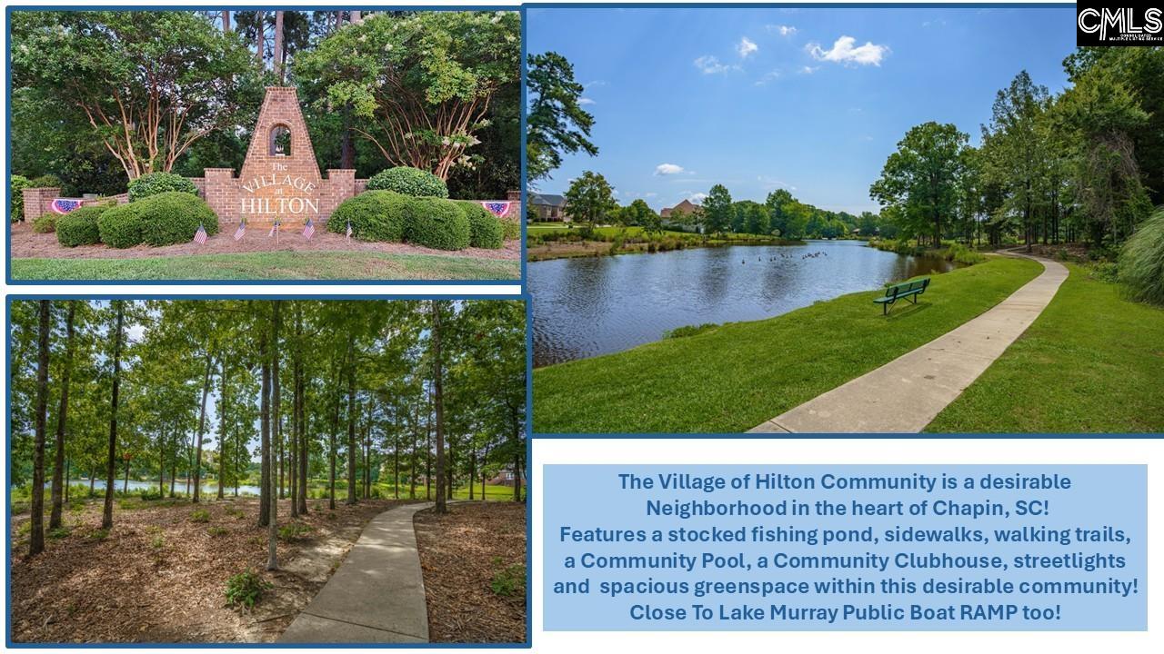 699 Village Market Drive, Chapin, South Carolina image 20