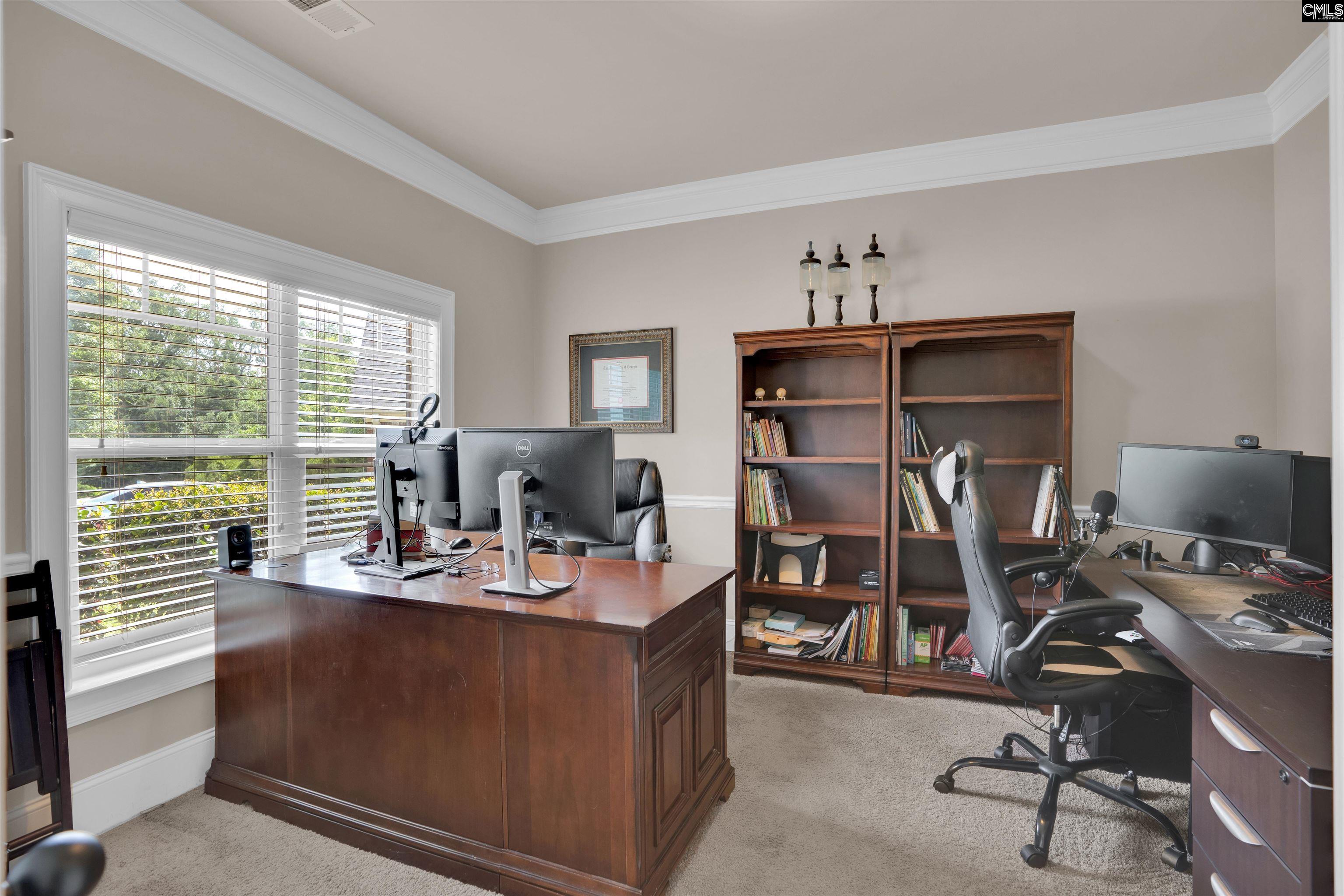 699 Village Market Drive, Chapin, South Carolina image 23