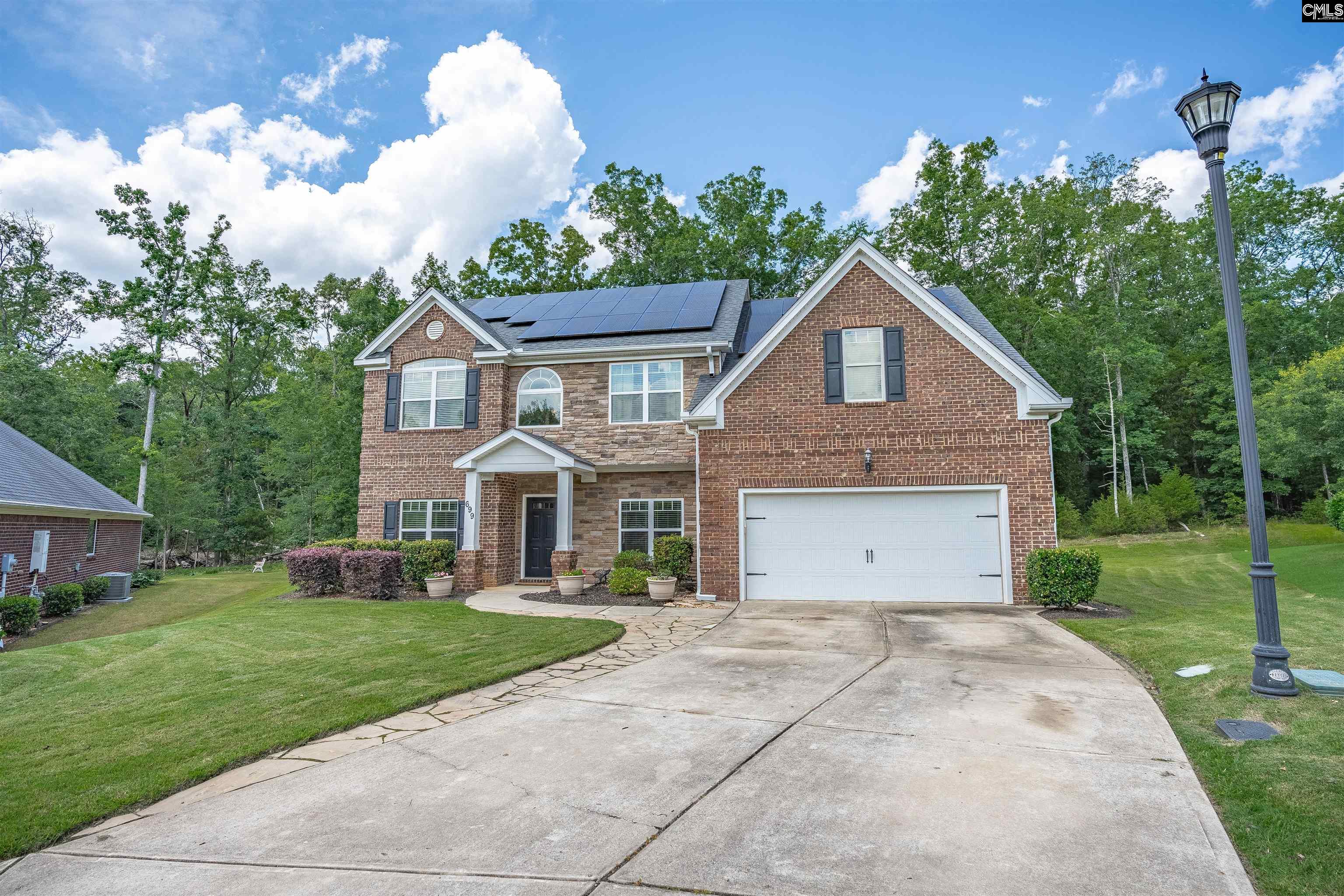 699 Village Market Drive, Chapin, South Carolina image 4