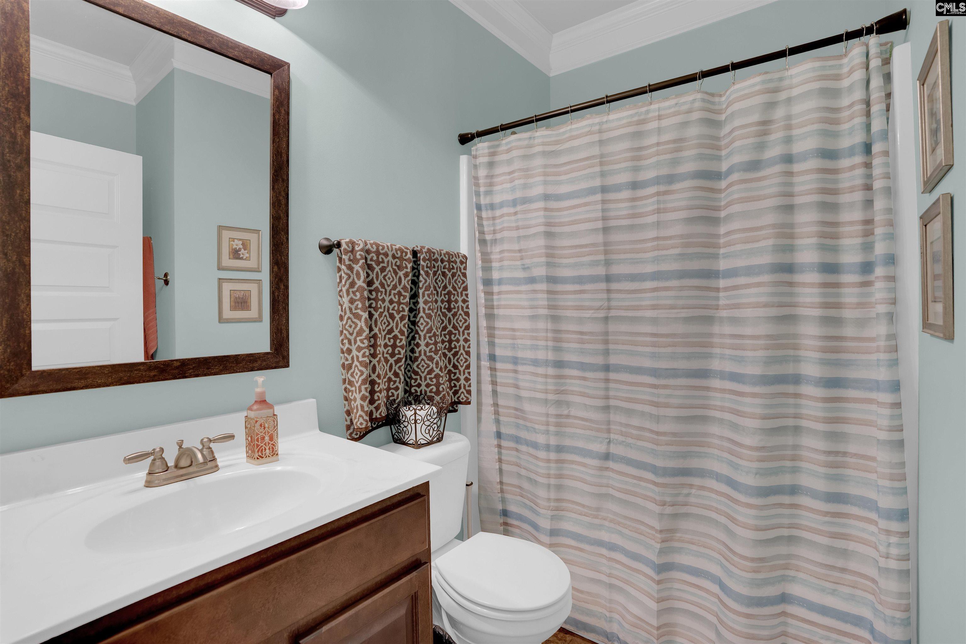 699 Village Market Drive, Chapin, South Carolina image 41