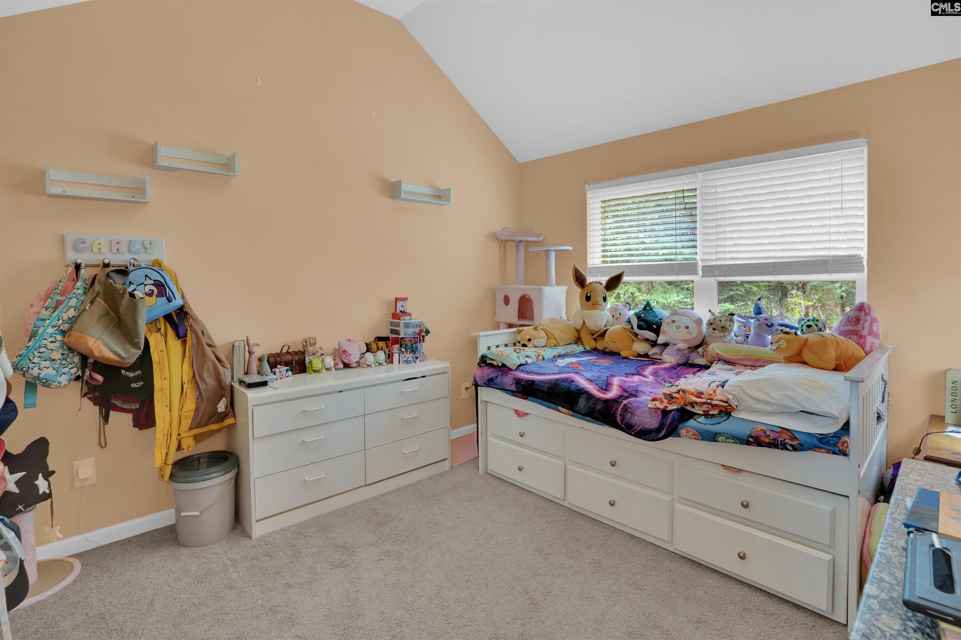 699 Village Market Drive, Chapin, South Carolina image 42