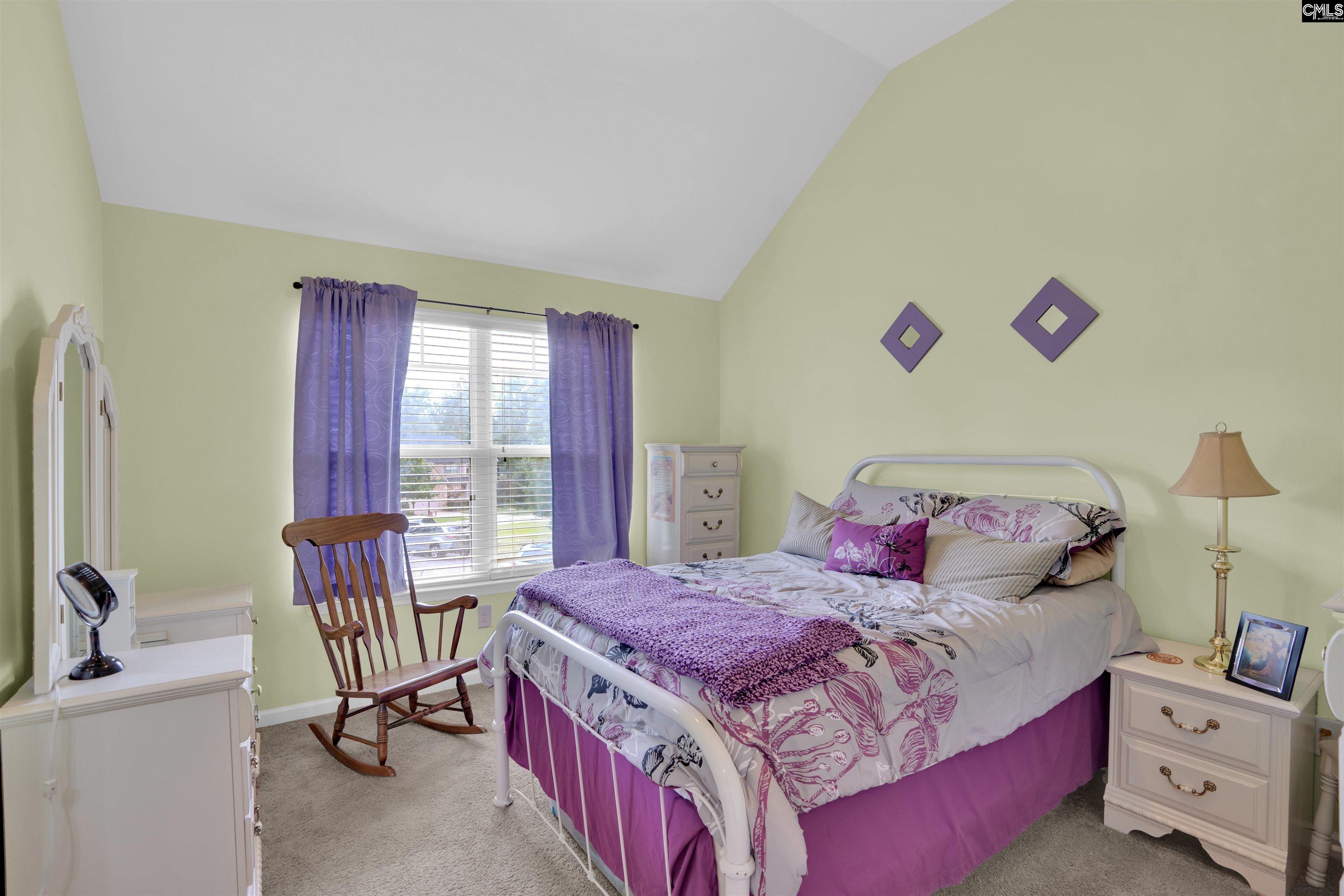 699 Village Market Drive, Chapin, South Carolina image 47