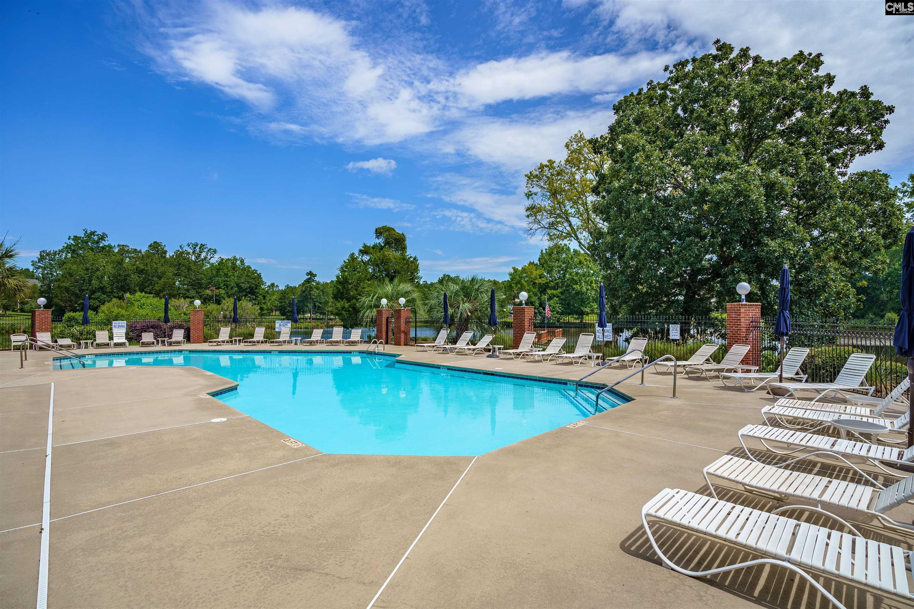 699 Village Market Drive Chapin, SC 29036