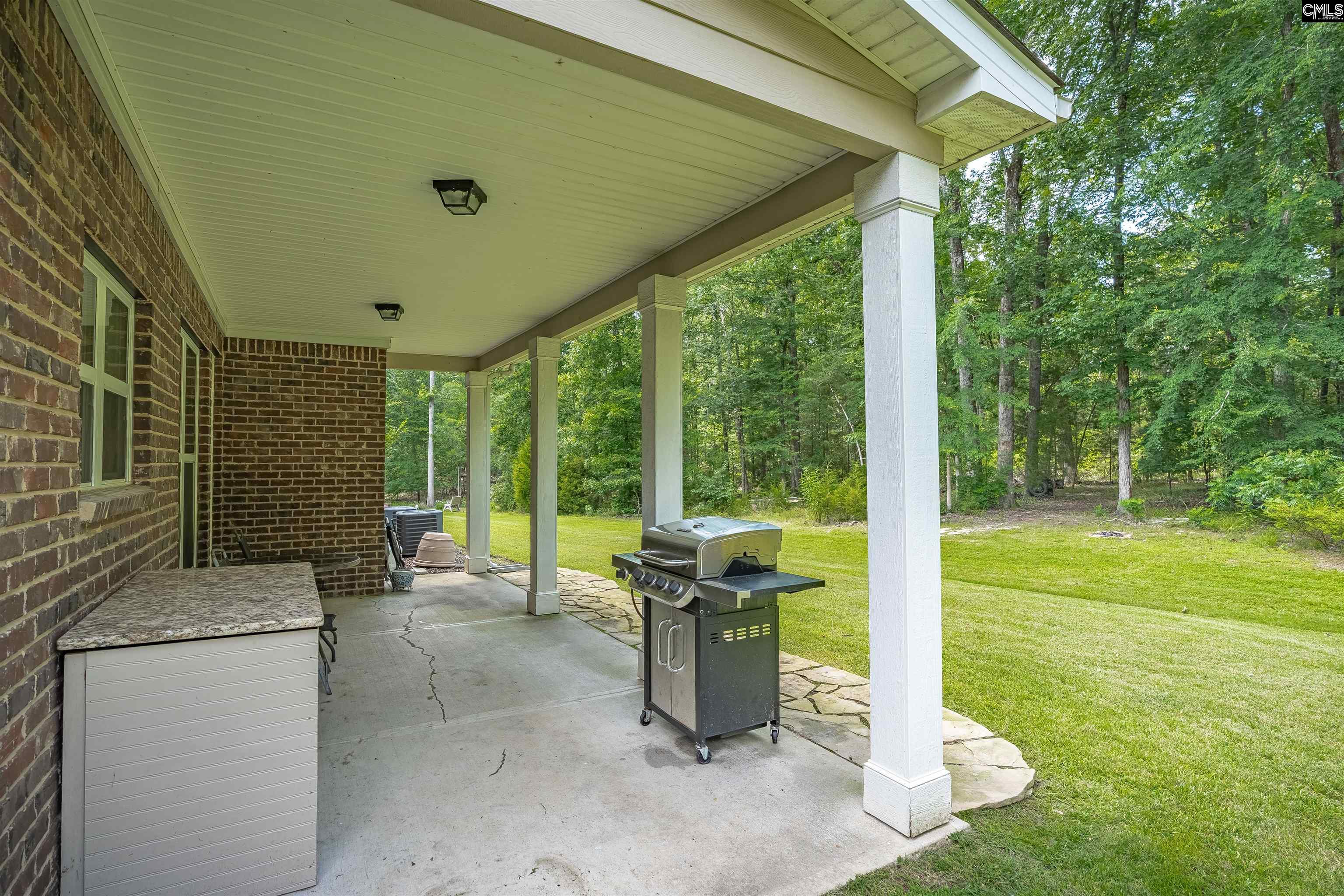 699 Village Market Drive, Chapin, South Carolina image 10