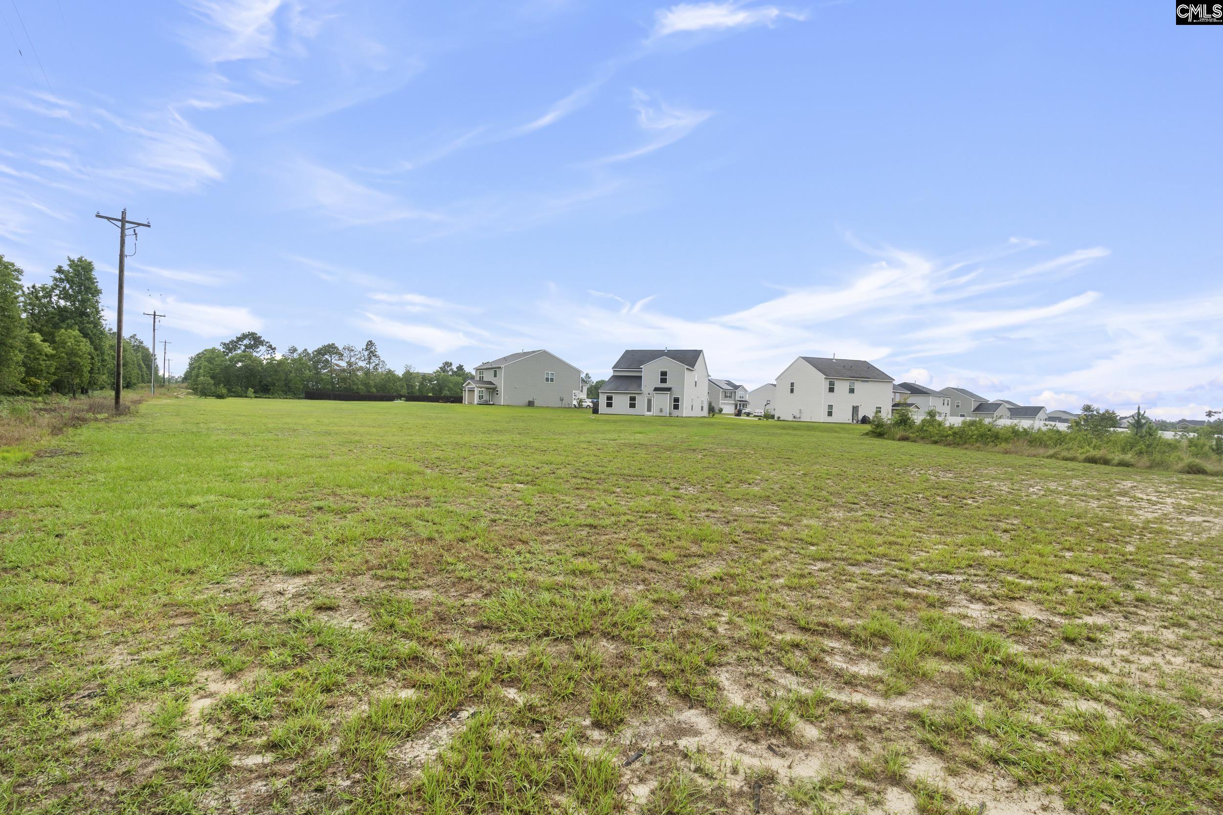 465 Vanburen Court, Gaston, South Carolina image 37