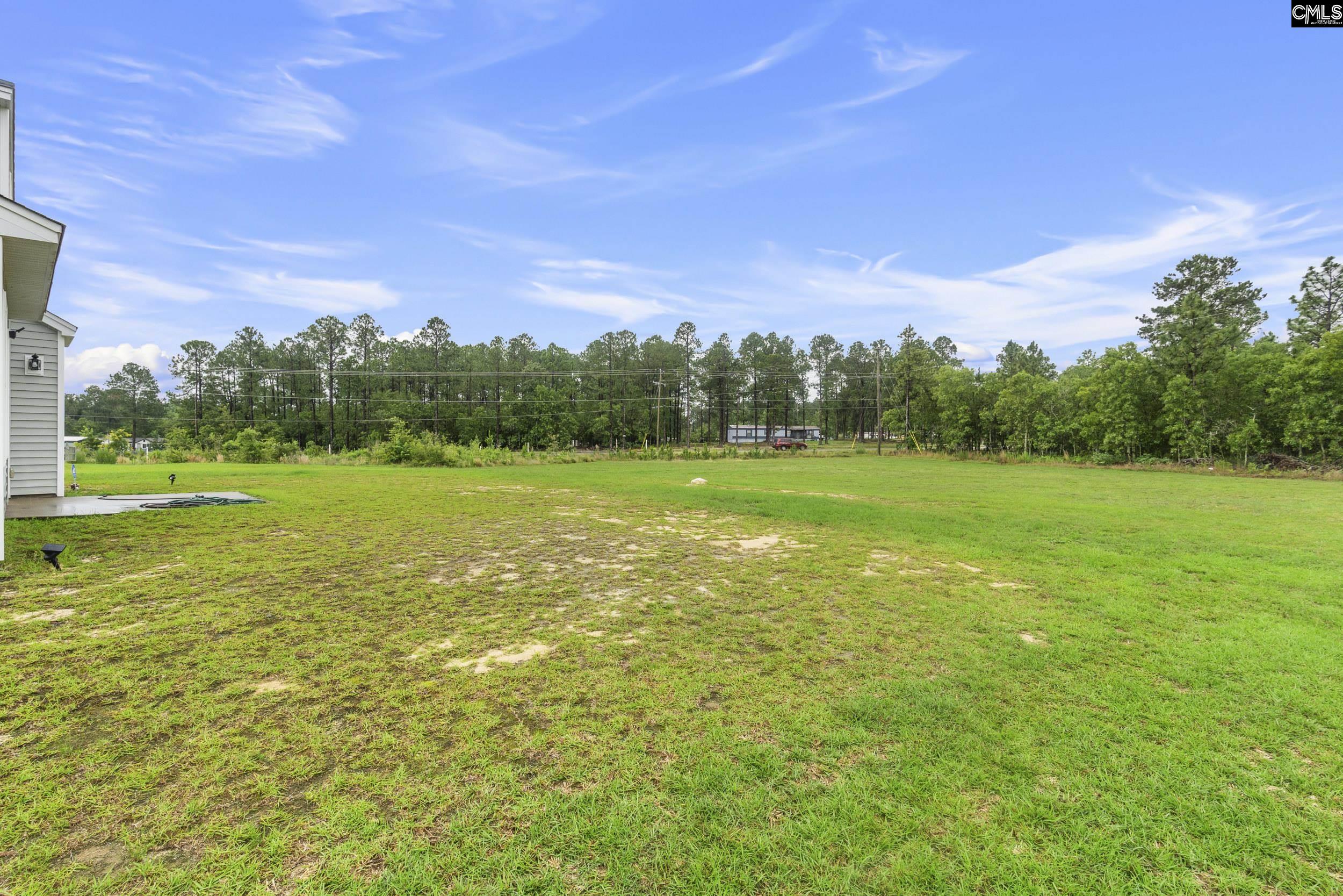 465 Vanburen Court, Gaston, South Carolina image 38
