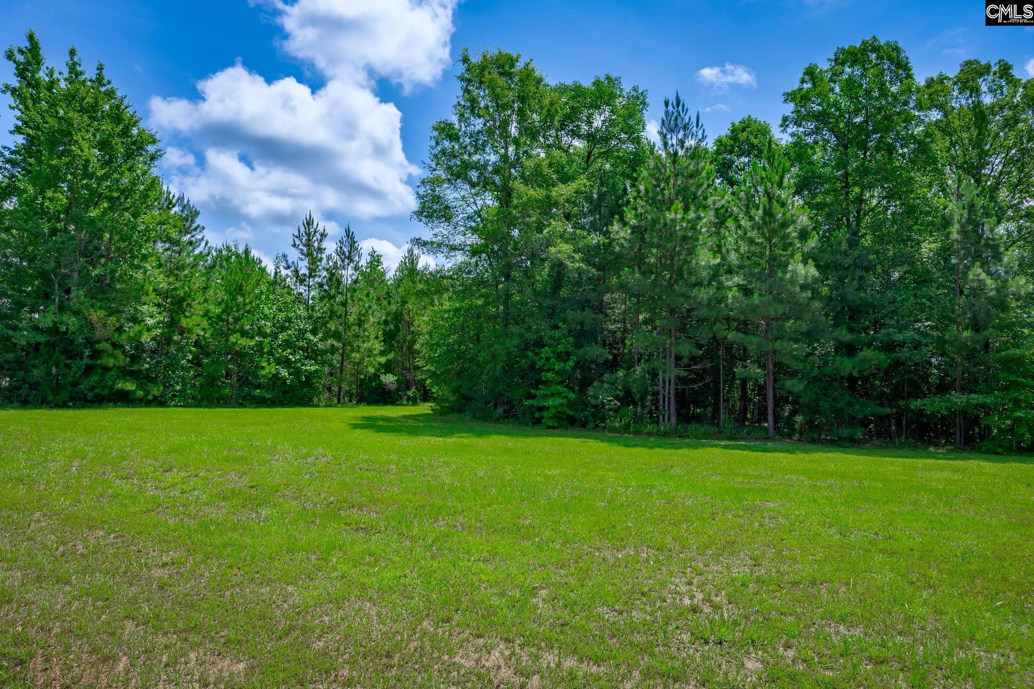 502 Outback Drive, Prosperity, South Carolina image 35