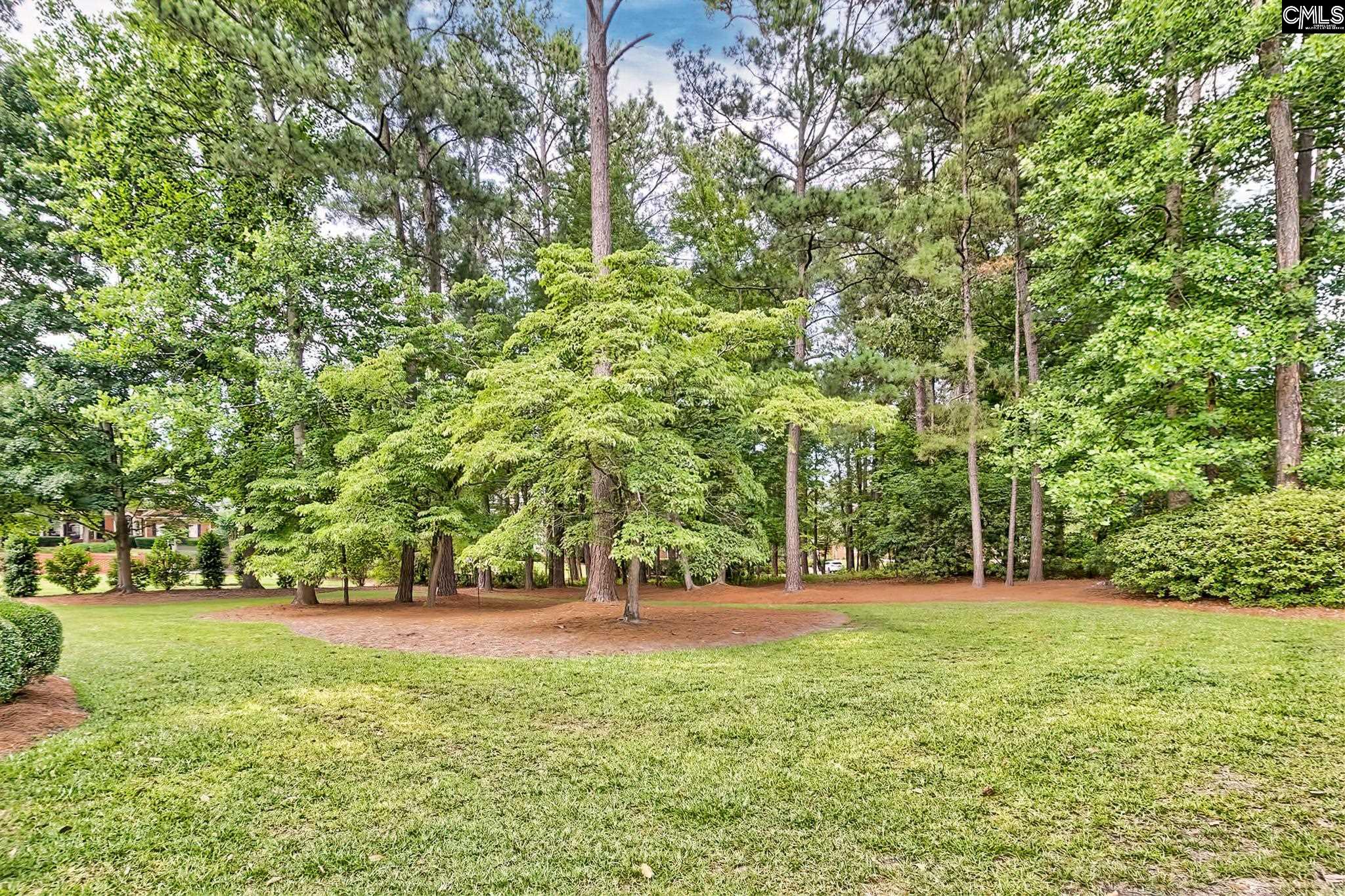 214 Redbay Road, Elgin, South Carolina image 5