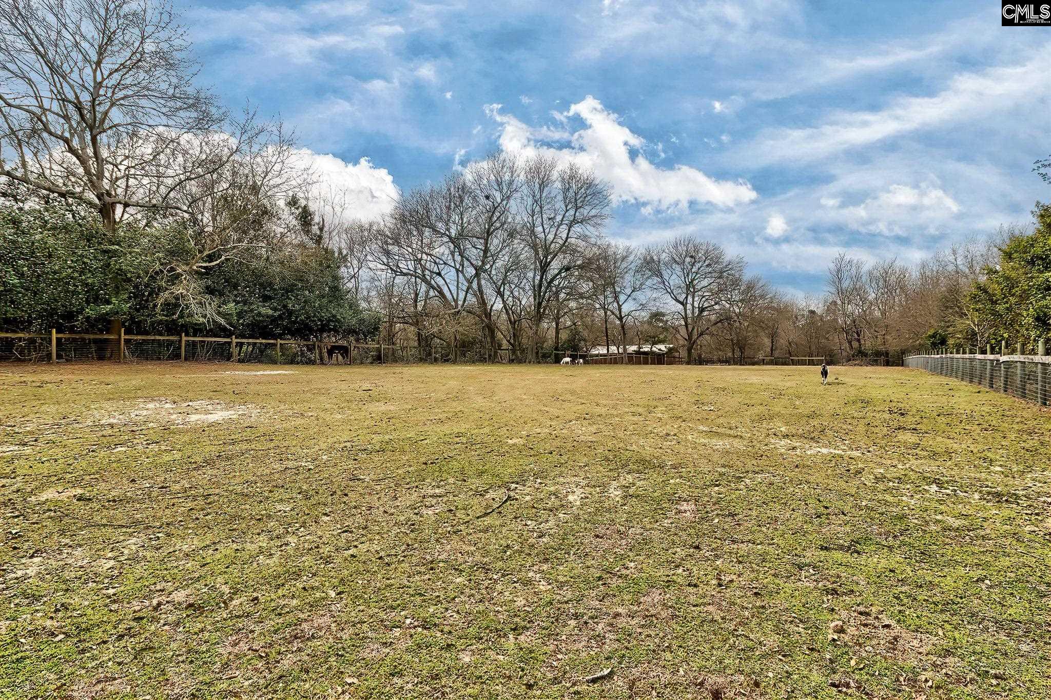 360 Twisting Road, Lexington, South Carolina image 13